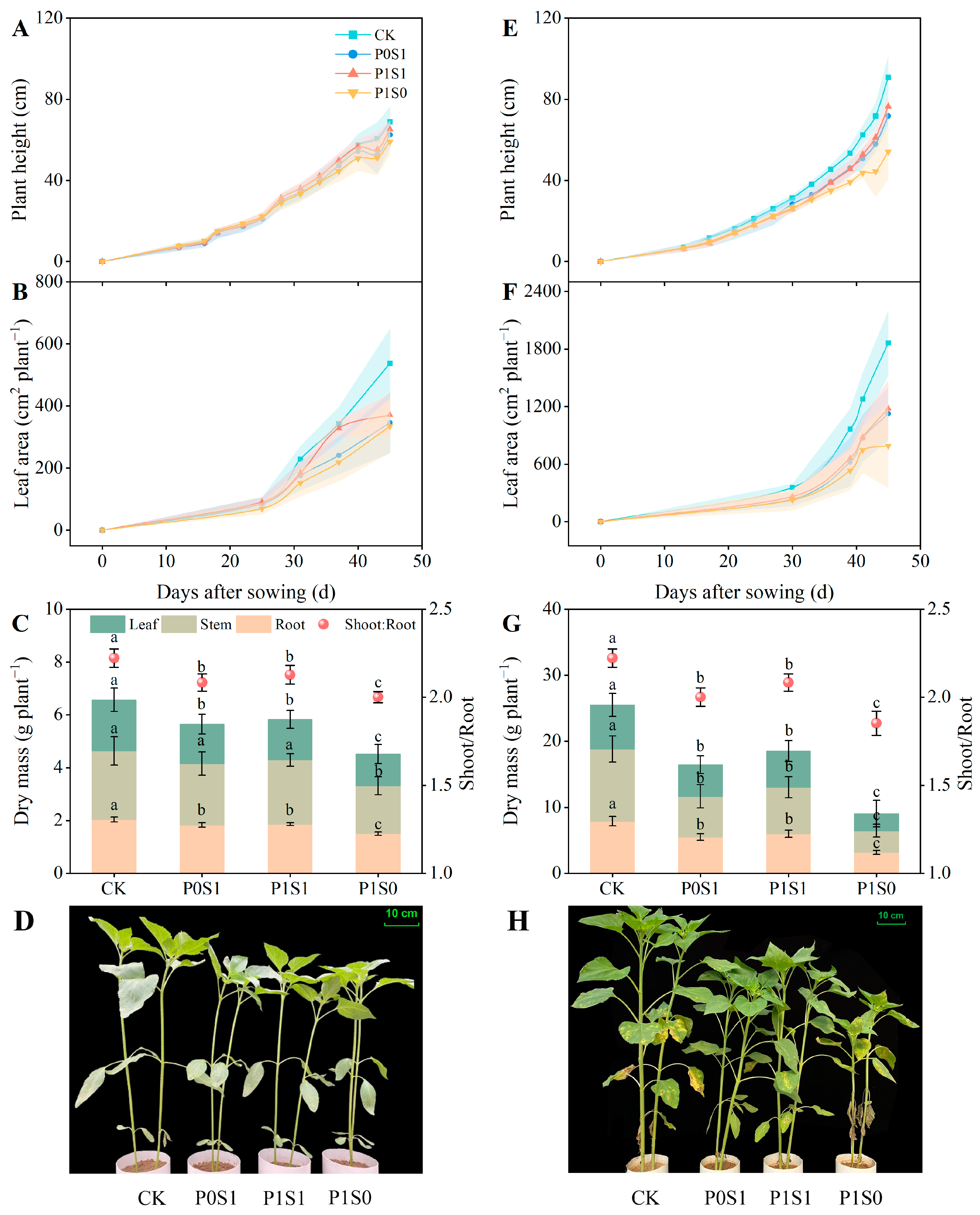 Agronomy 14 02301 g003