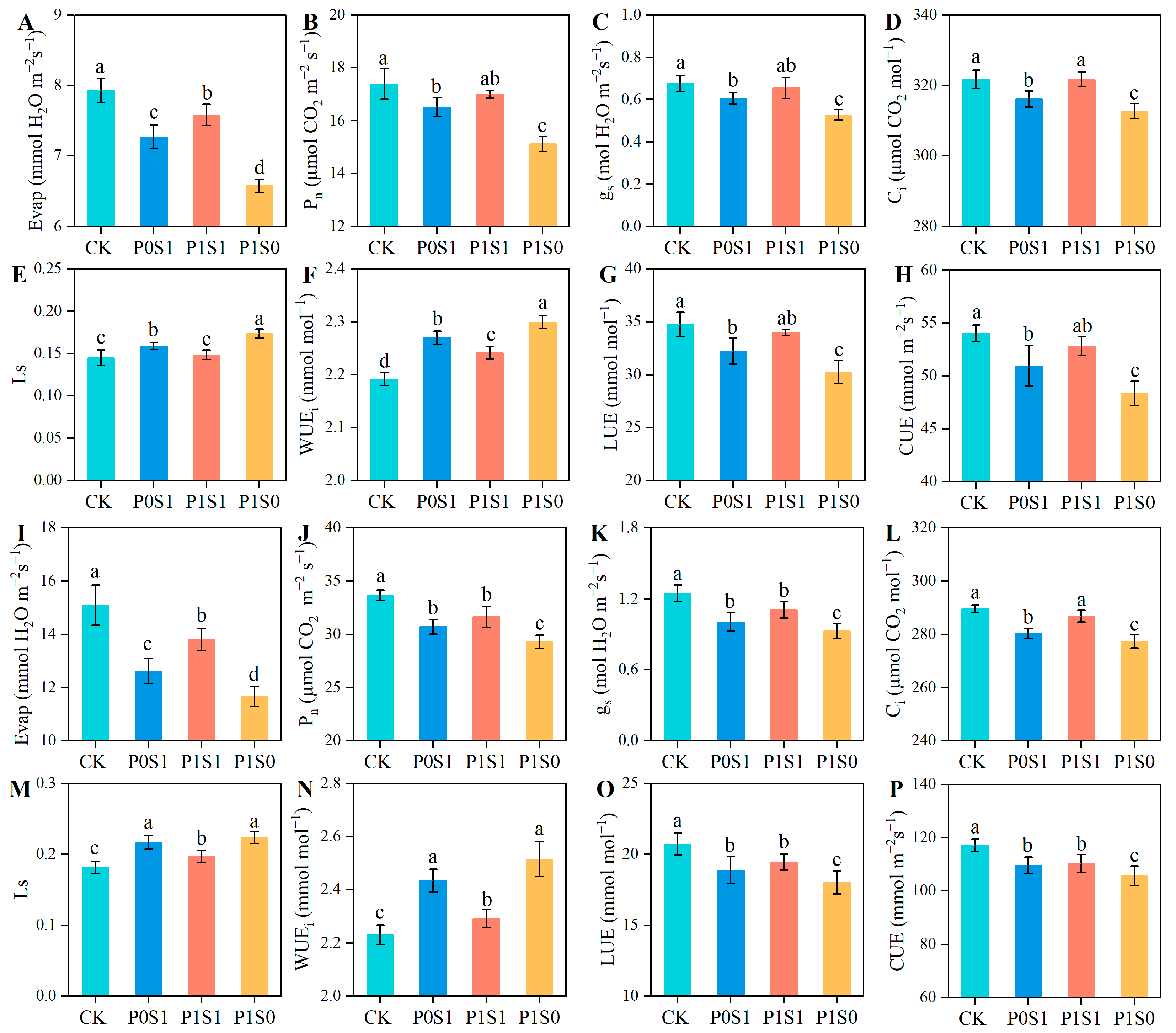 Agronomy 14 02301 g006