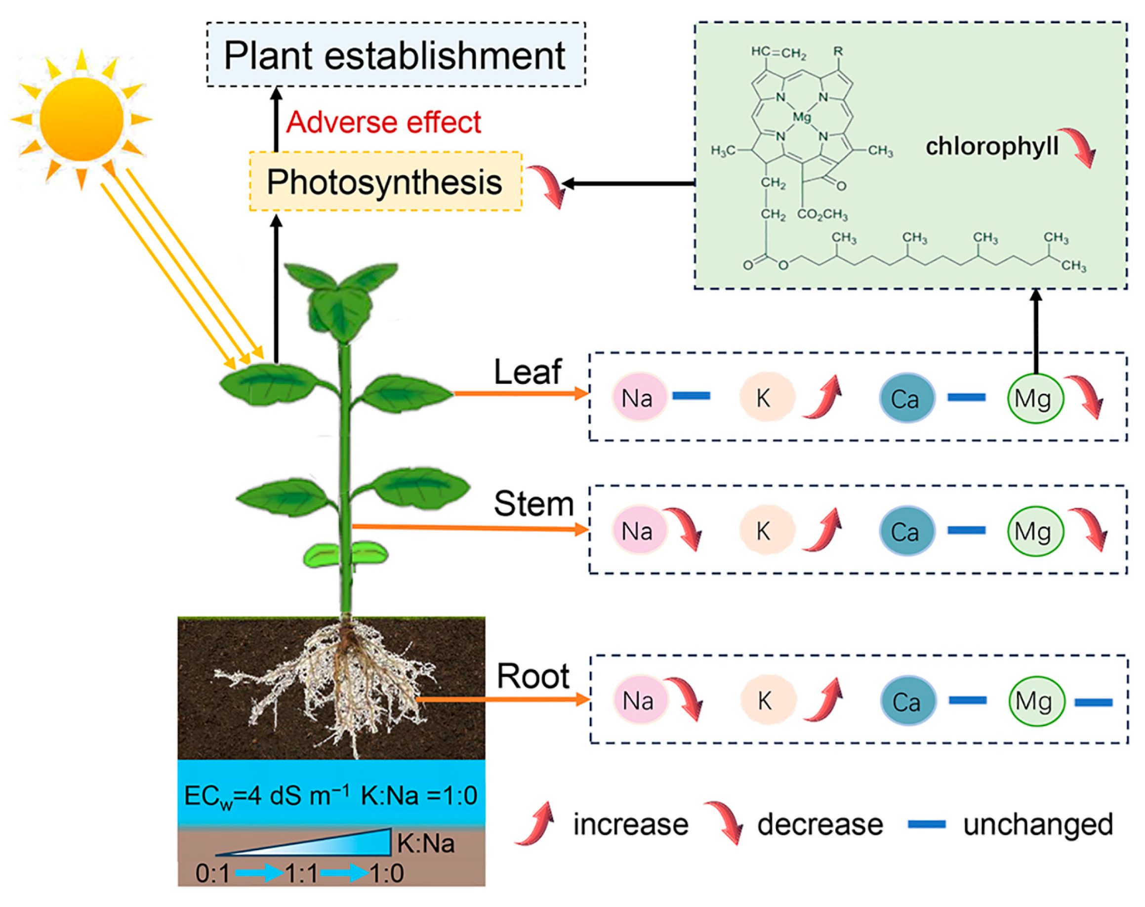 Agronomy 14 02301 g008