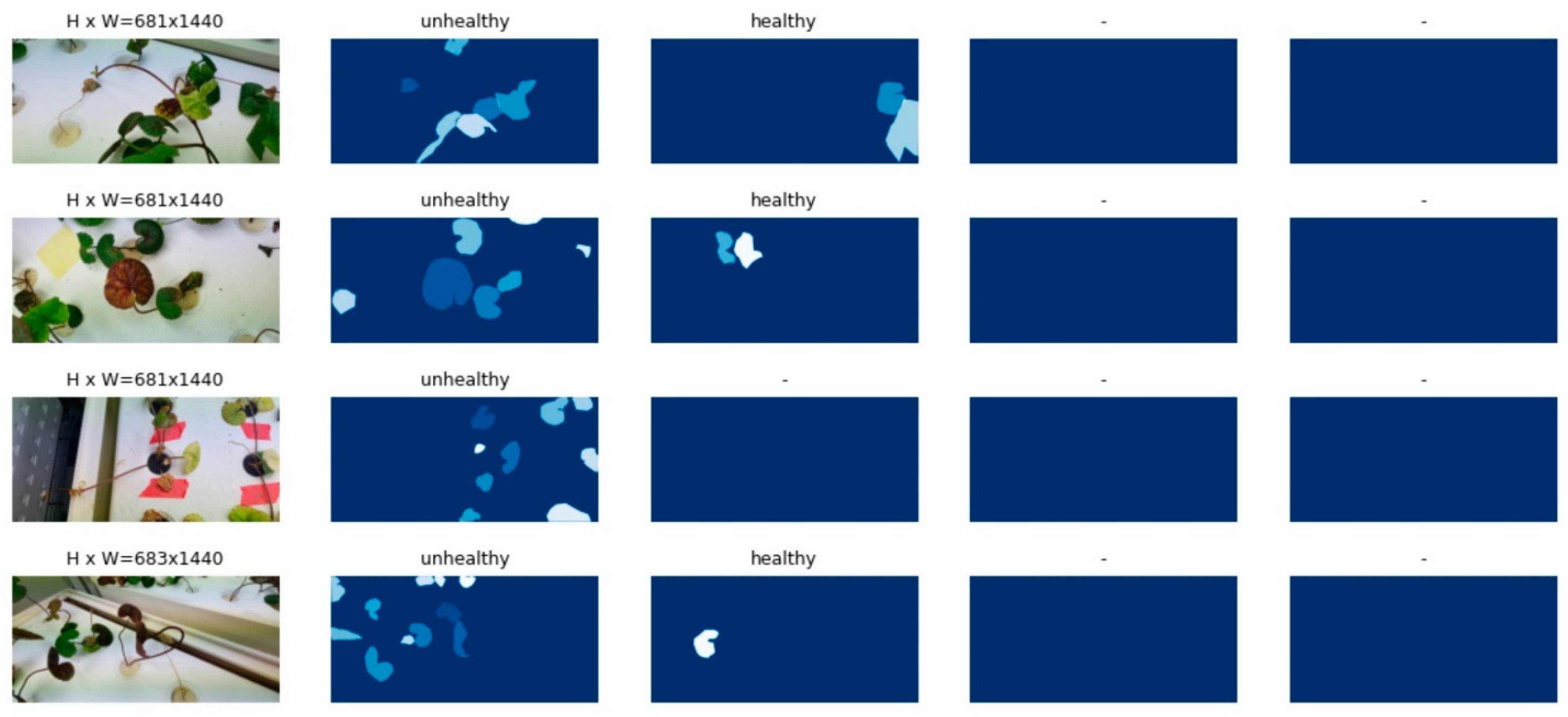 Agronomy 14 02313 g006