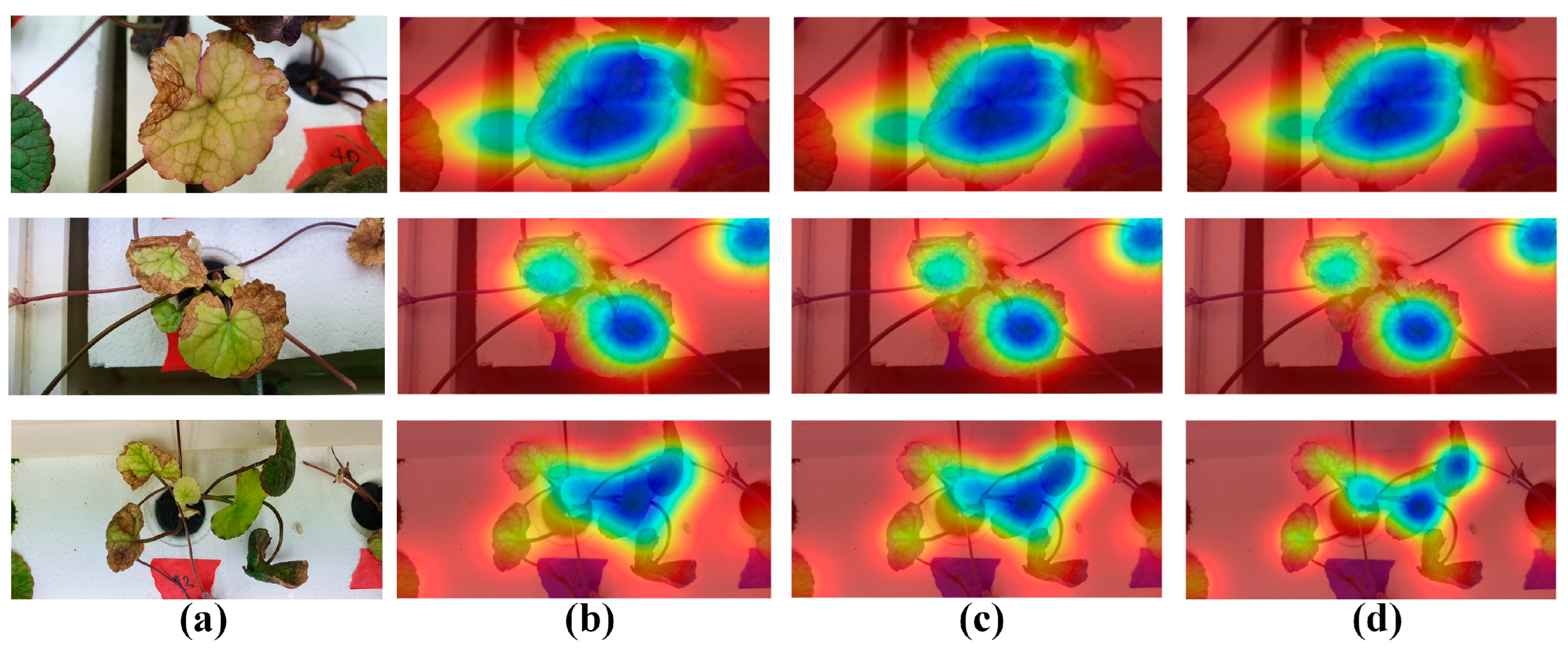 Agronomy 14 02313 g011