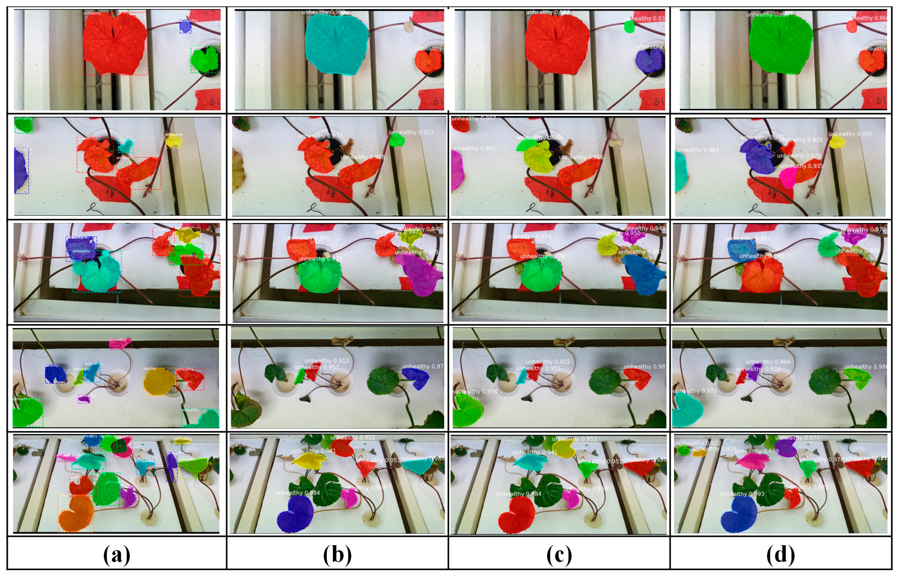 Agronomy 14 02313 g012