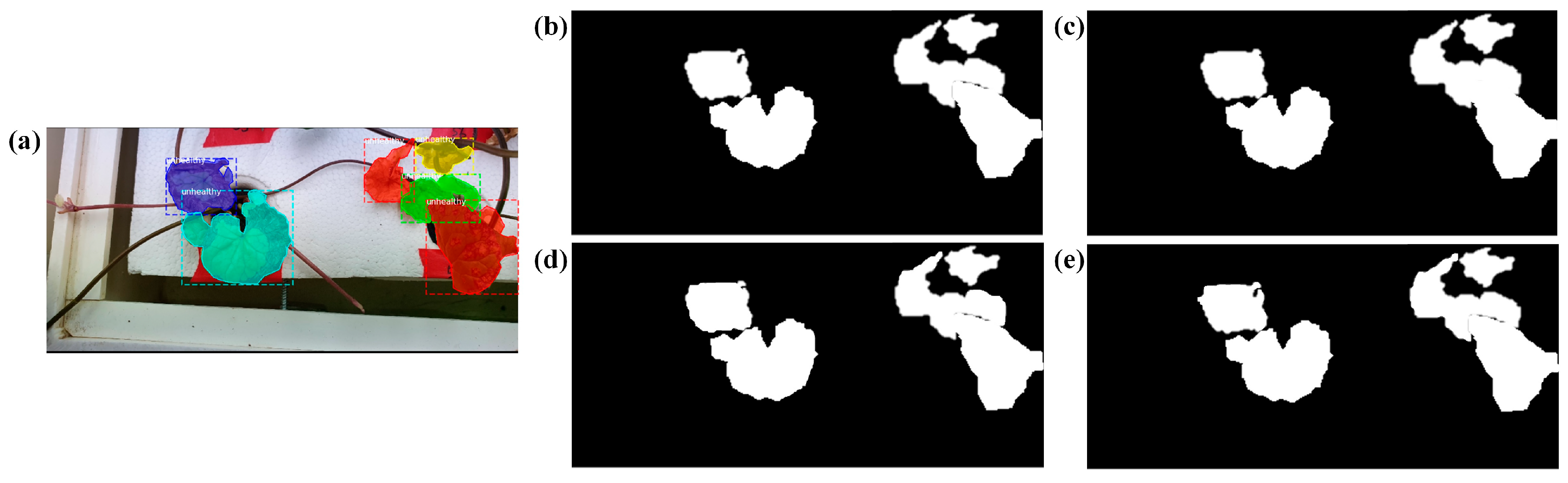 Agronomy 14 02313 g014