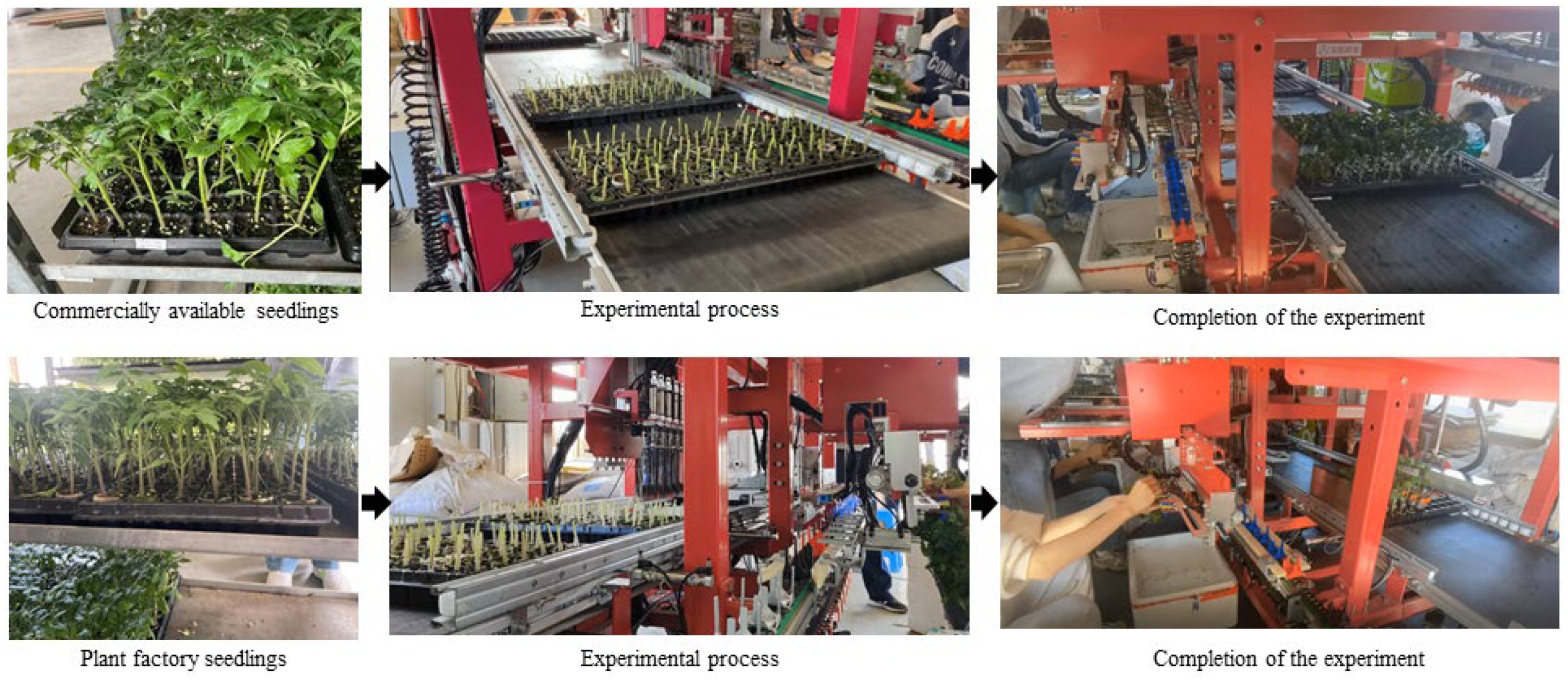 Agronomy 14 02322 g003