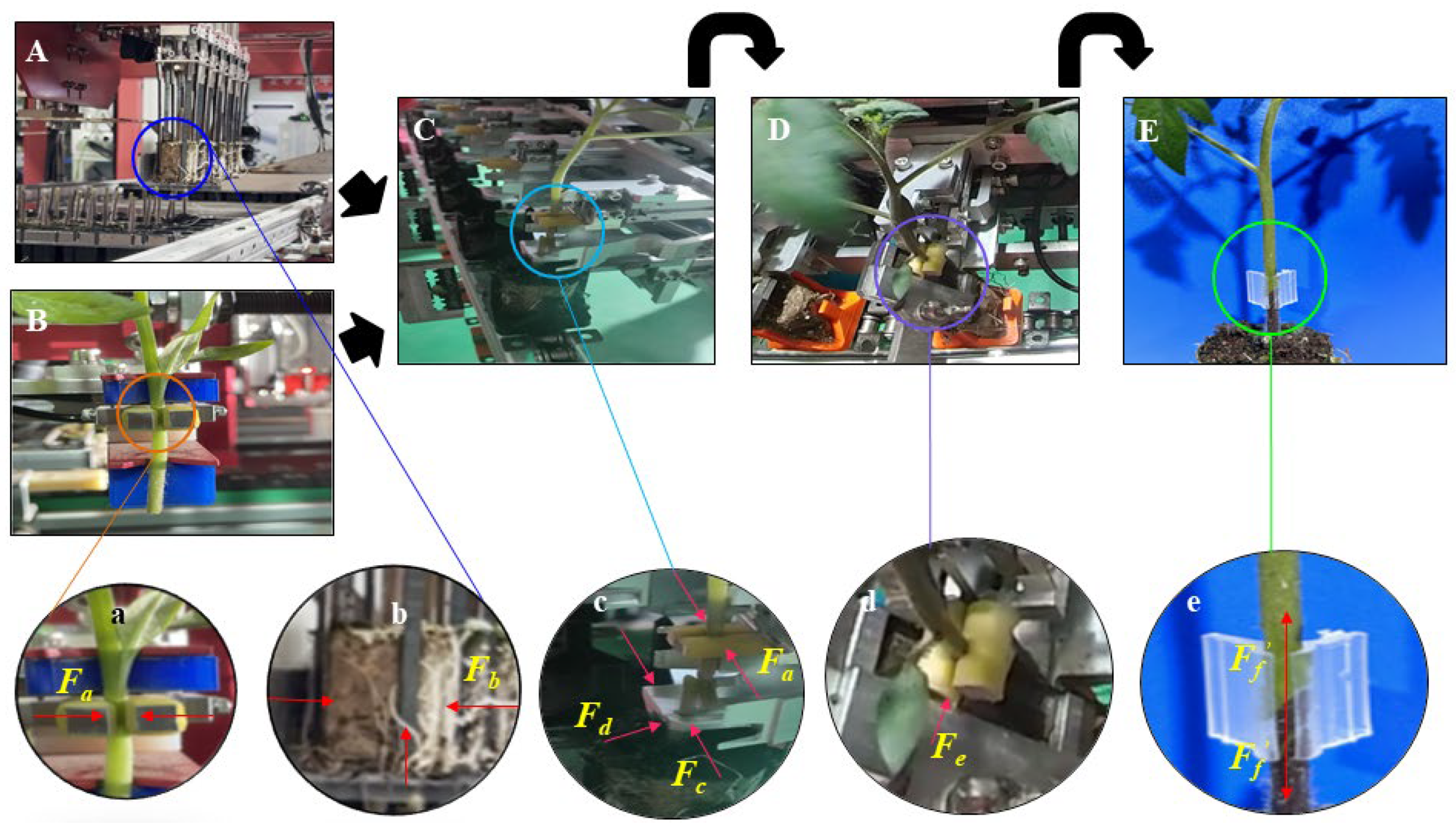 Agronomy 14 02322 g017