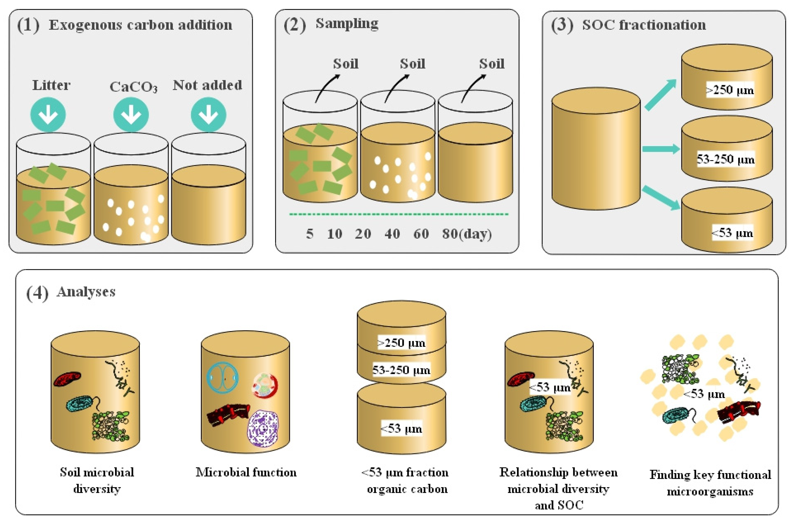 Agronomy 14 02333 g001