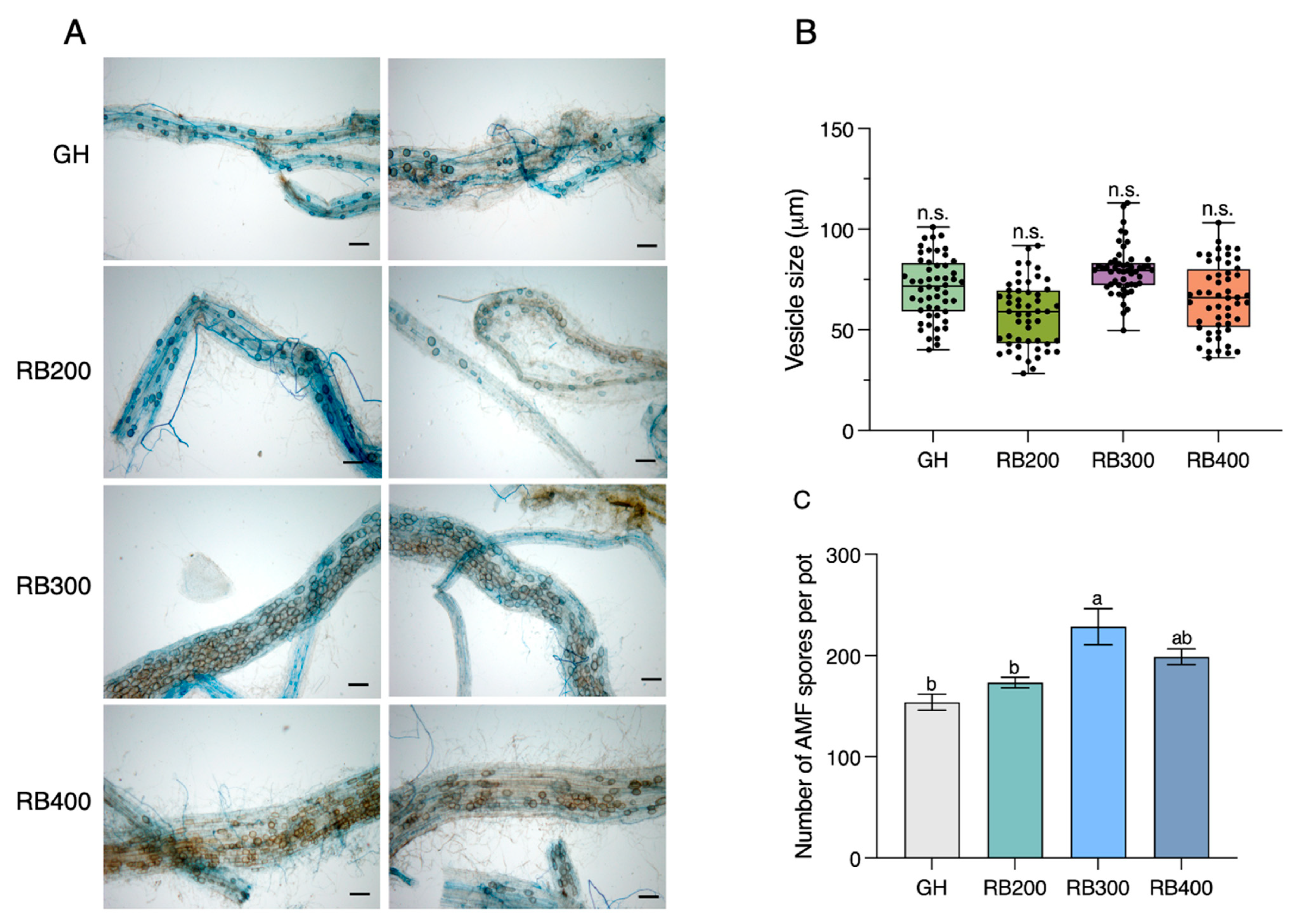Agronomy 14 02342 g002