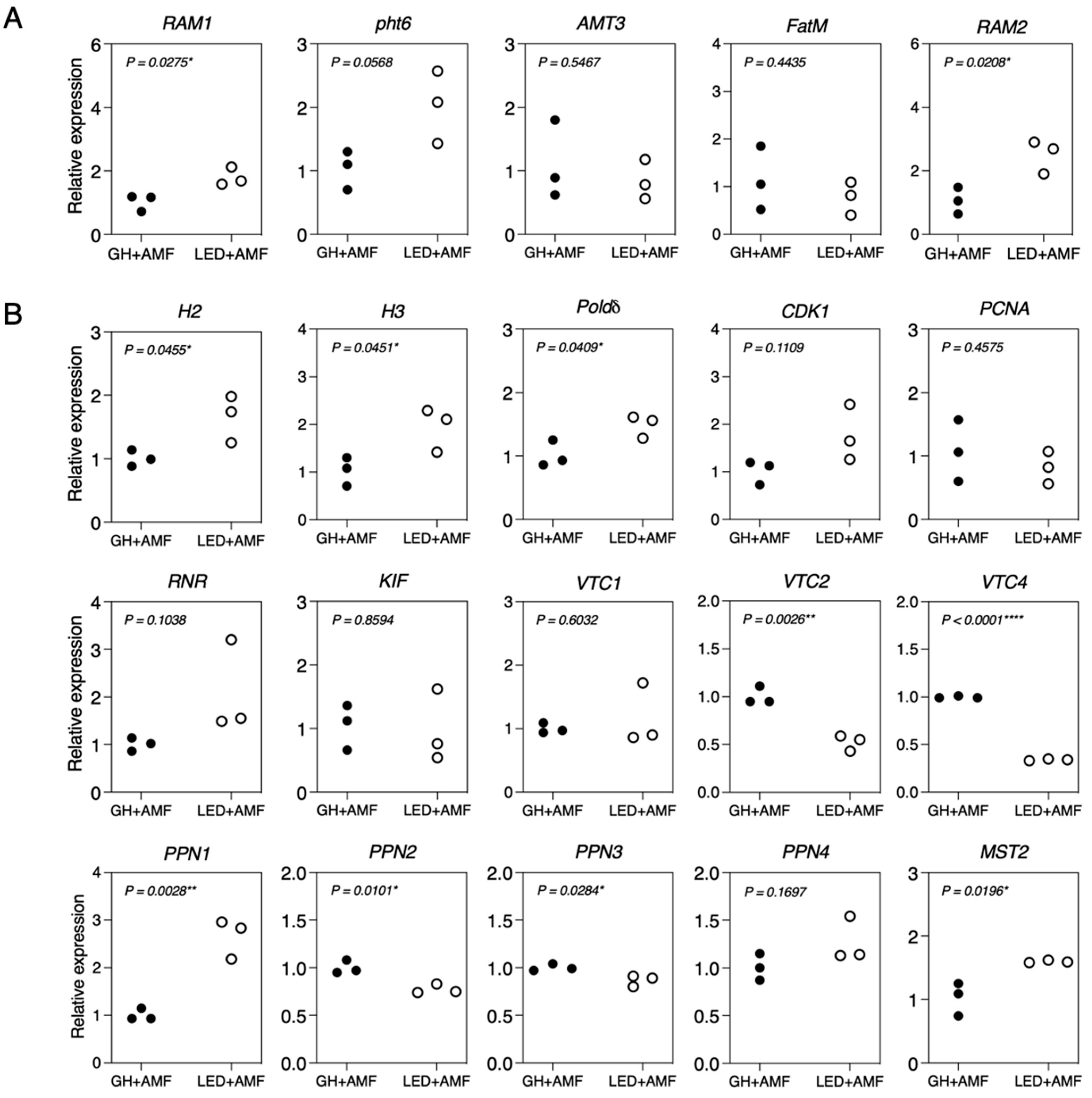 Agronomy 14 02342 g007