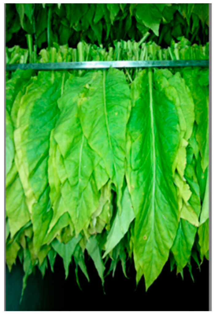 Agronomy 14 02347 g004