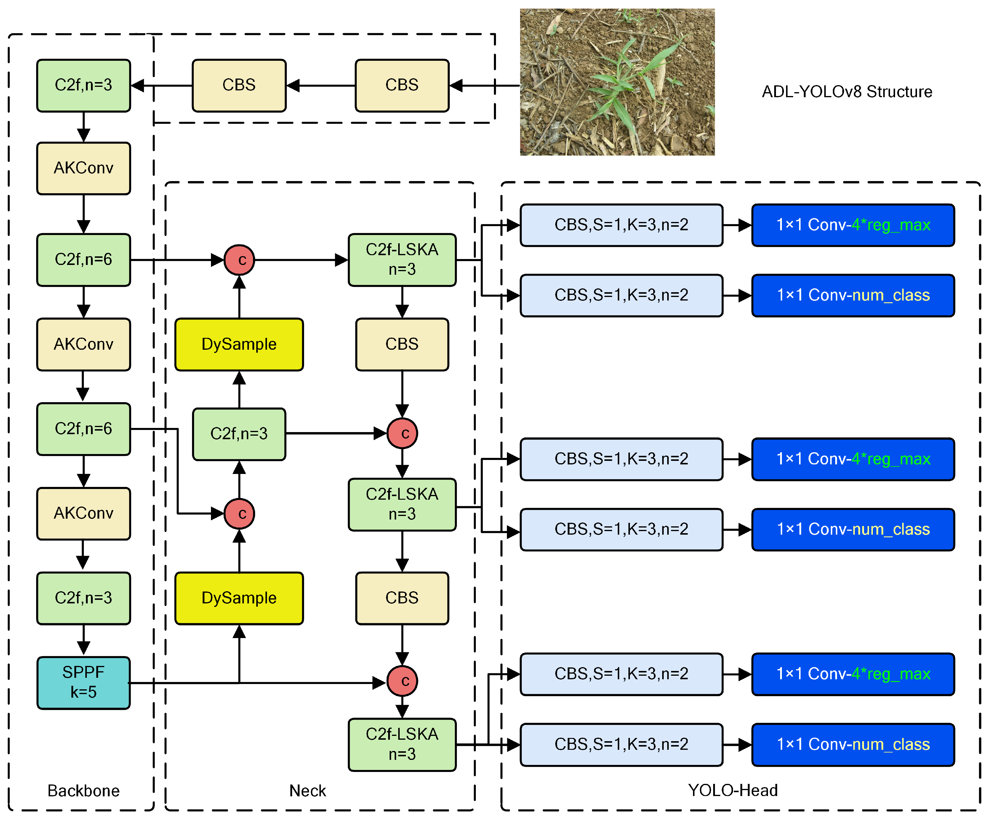 Agronomy 14 02355 g004