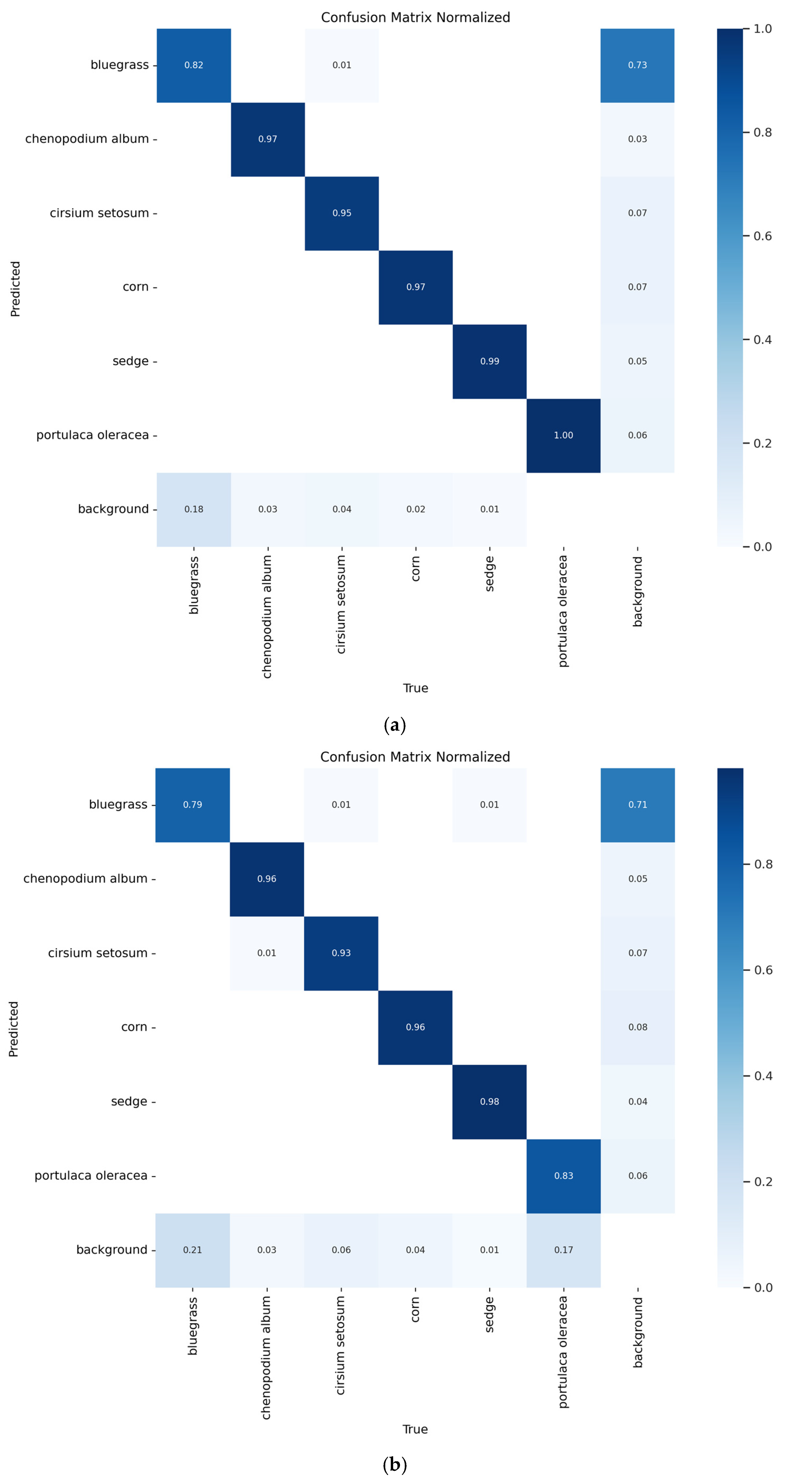 Agronomy 14 02355 g013