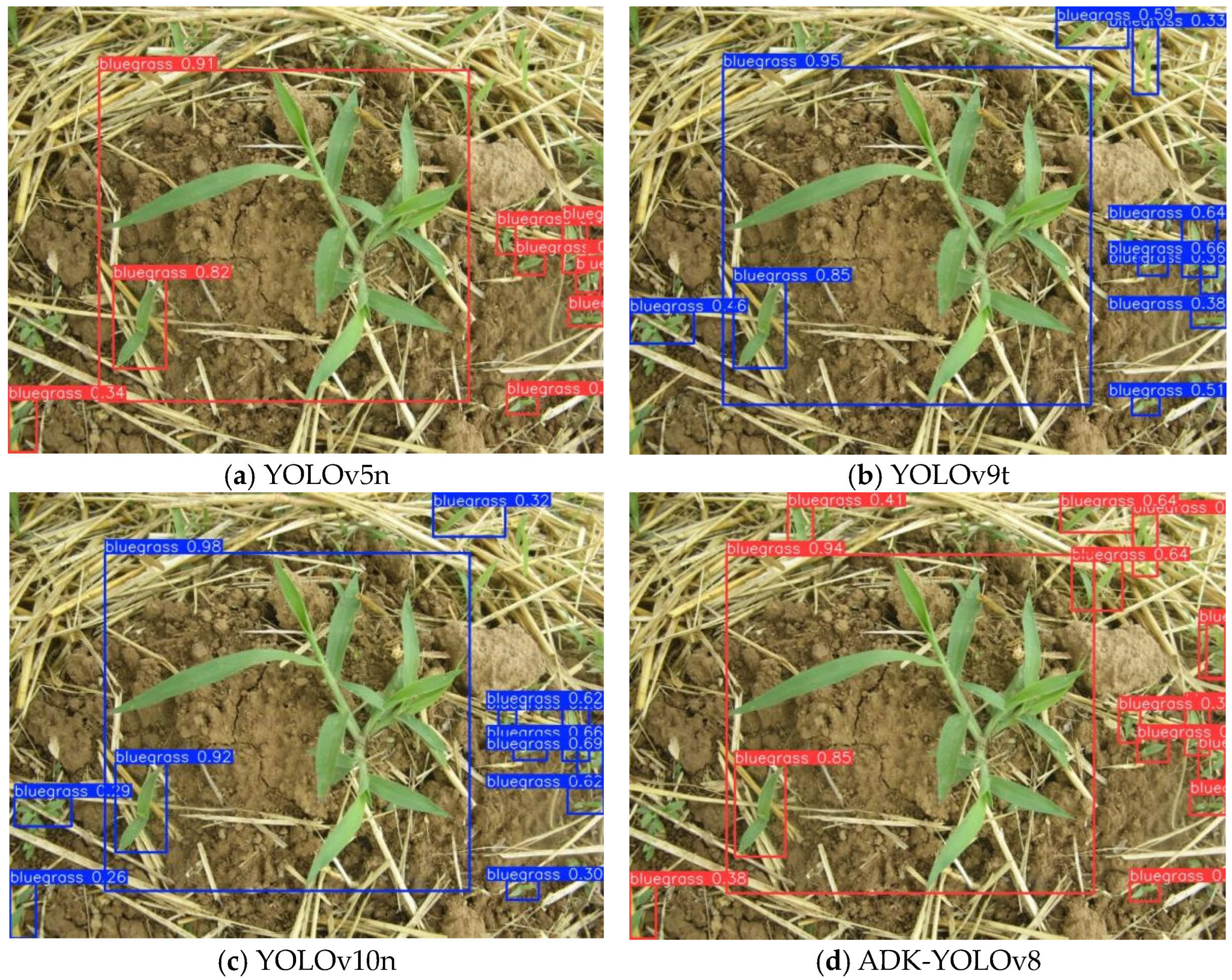Agronomy 14 02355 g014