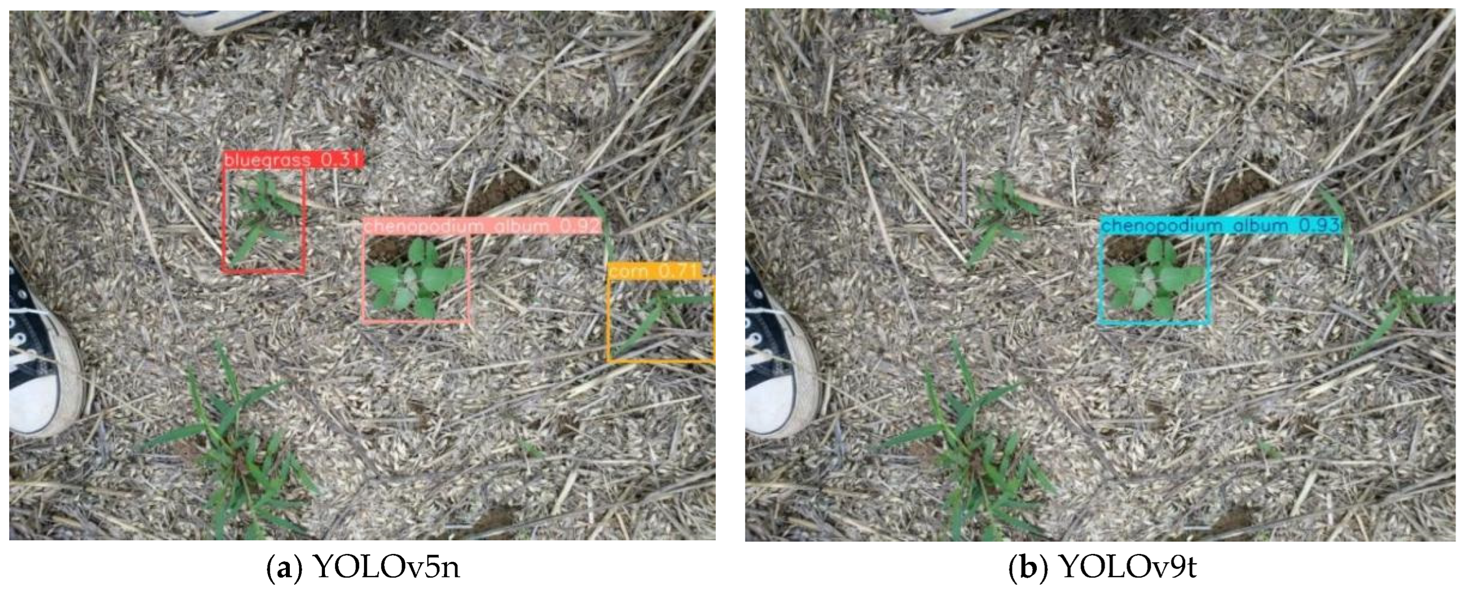 Agronomy 14 02355 g015a
