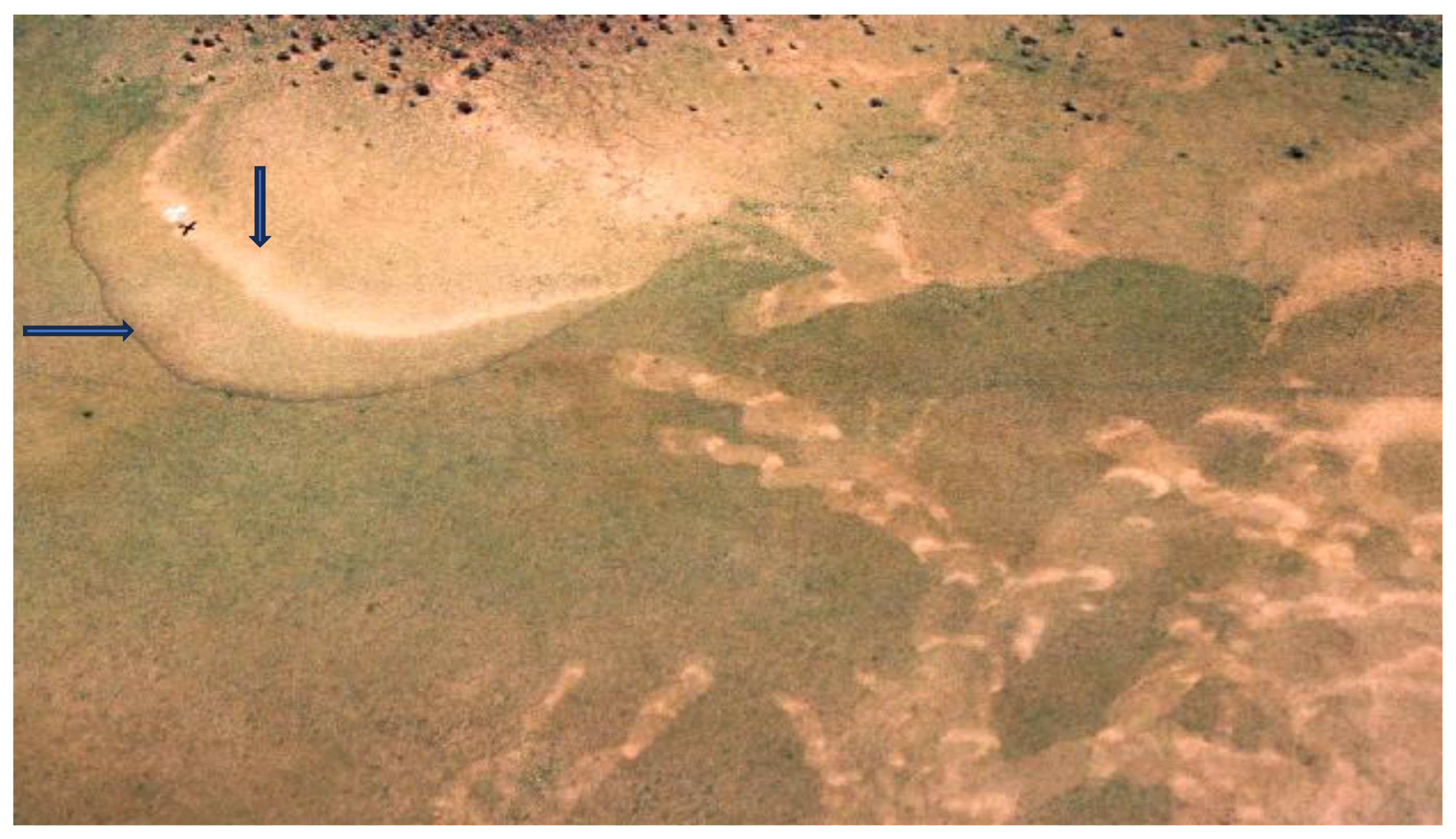 Agronomy 14 02369 g003