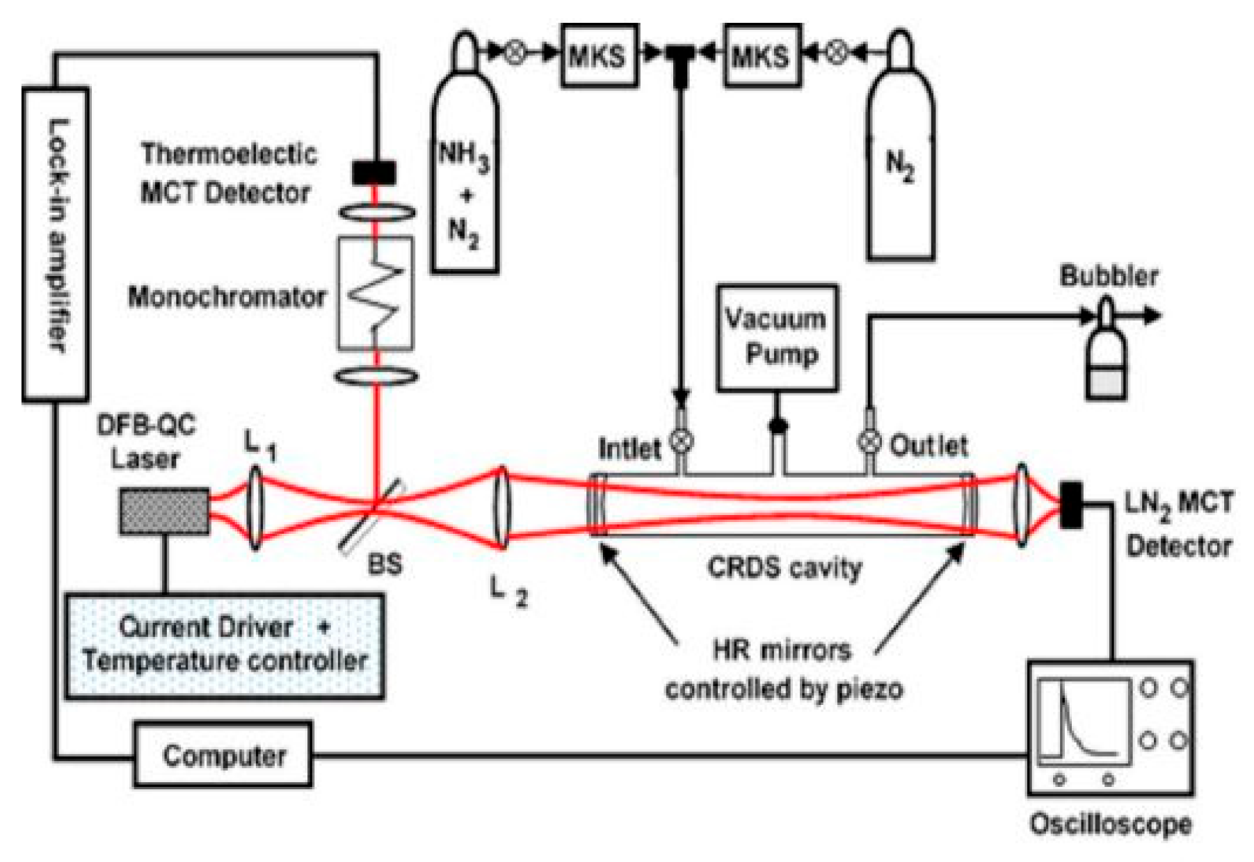 Agronomy 14 02374 g008