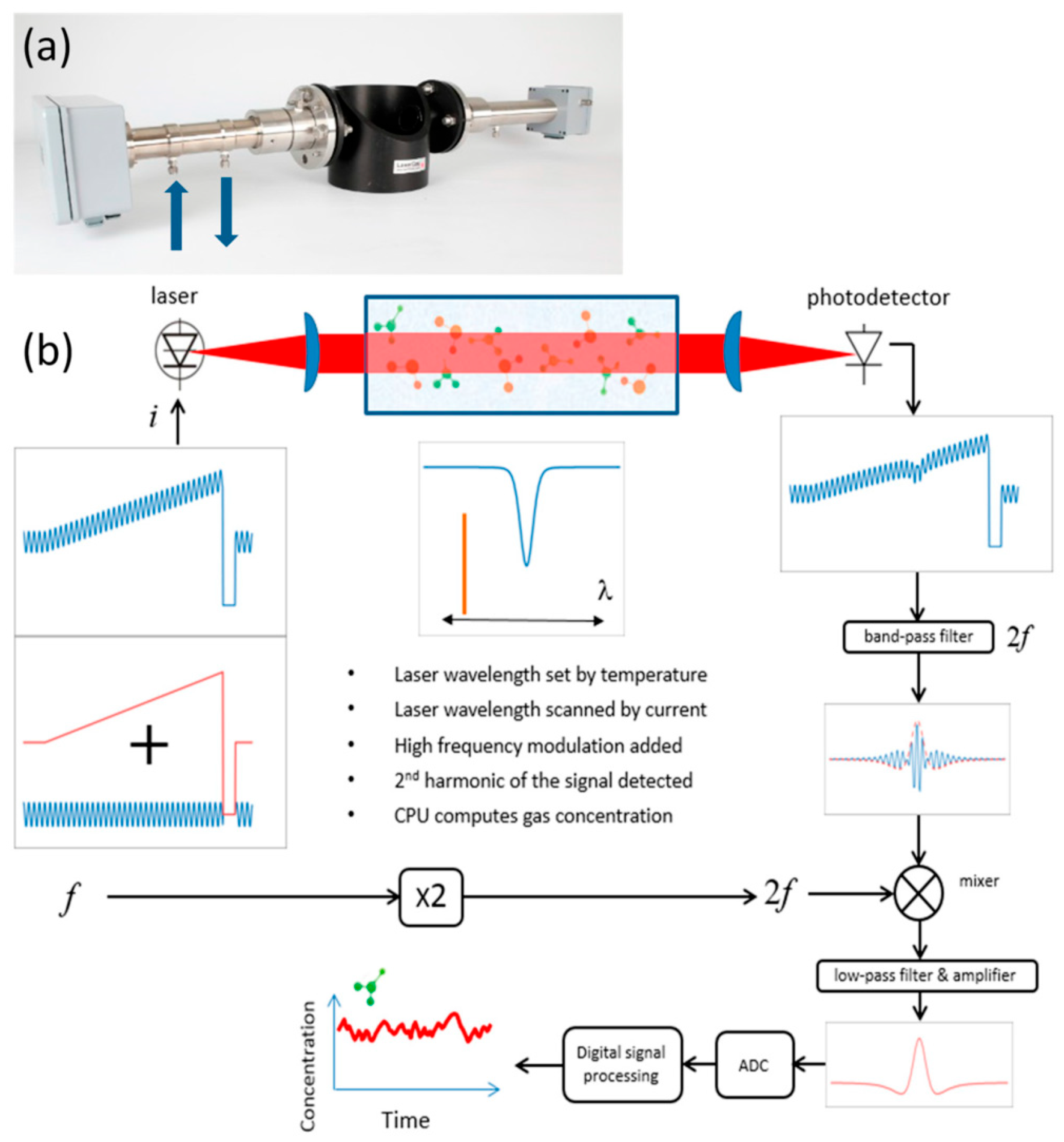 Agronomy 14 02374 g011