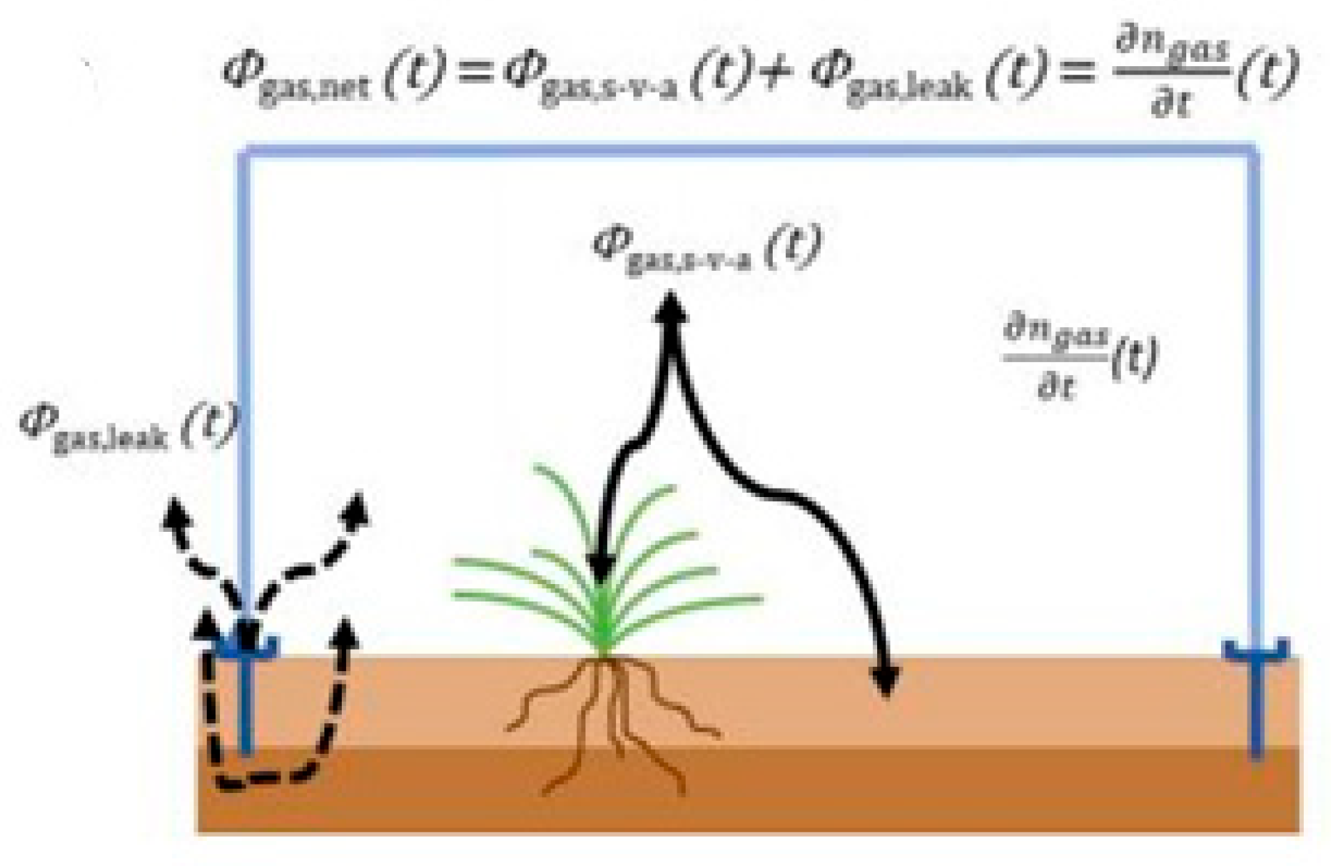 Agronomy 14 02374 g015