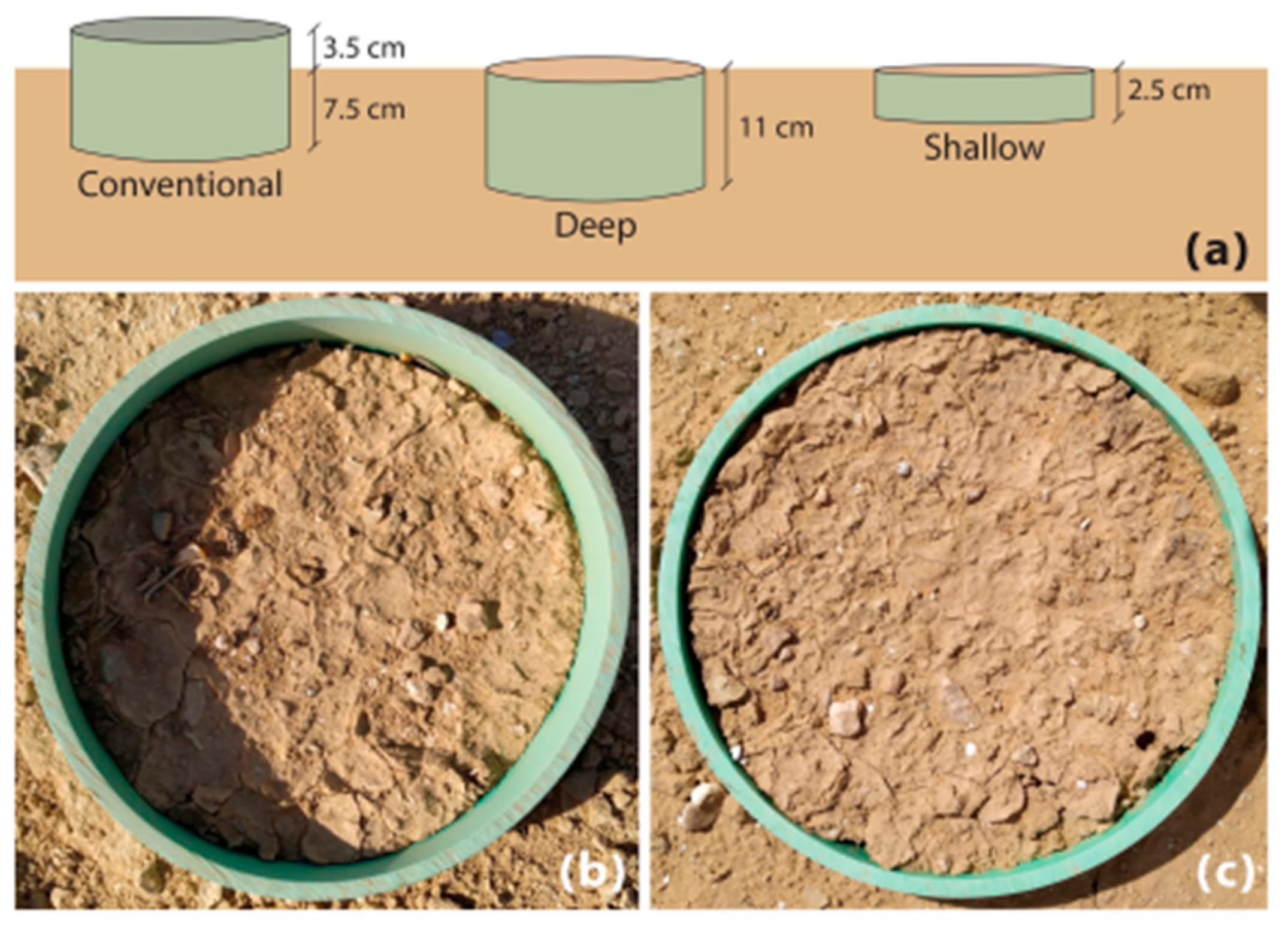 Agronomy 14 02374 g016