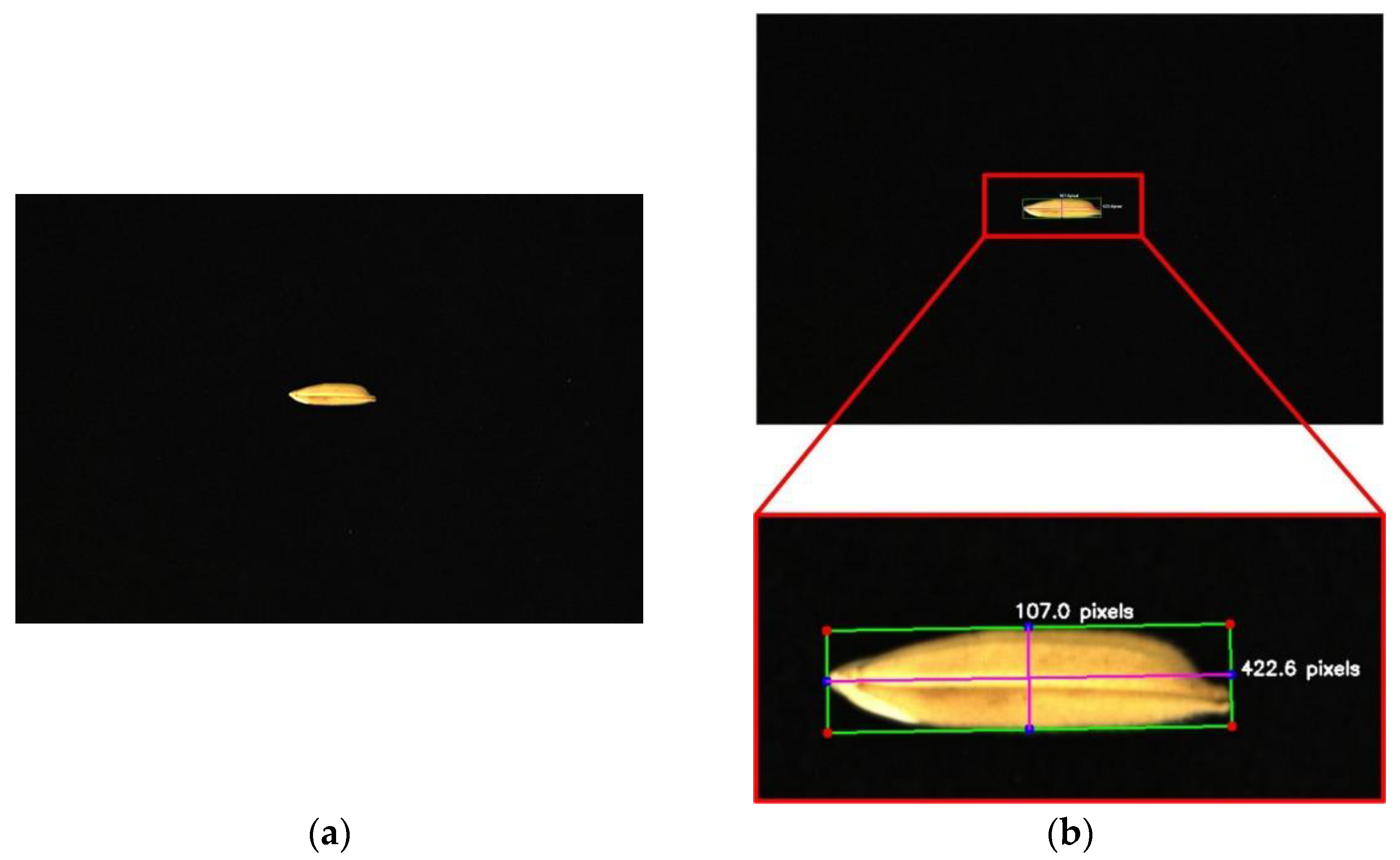 Agronomy 14 02398 g008