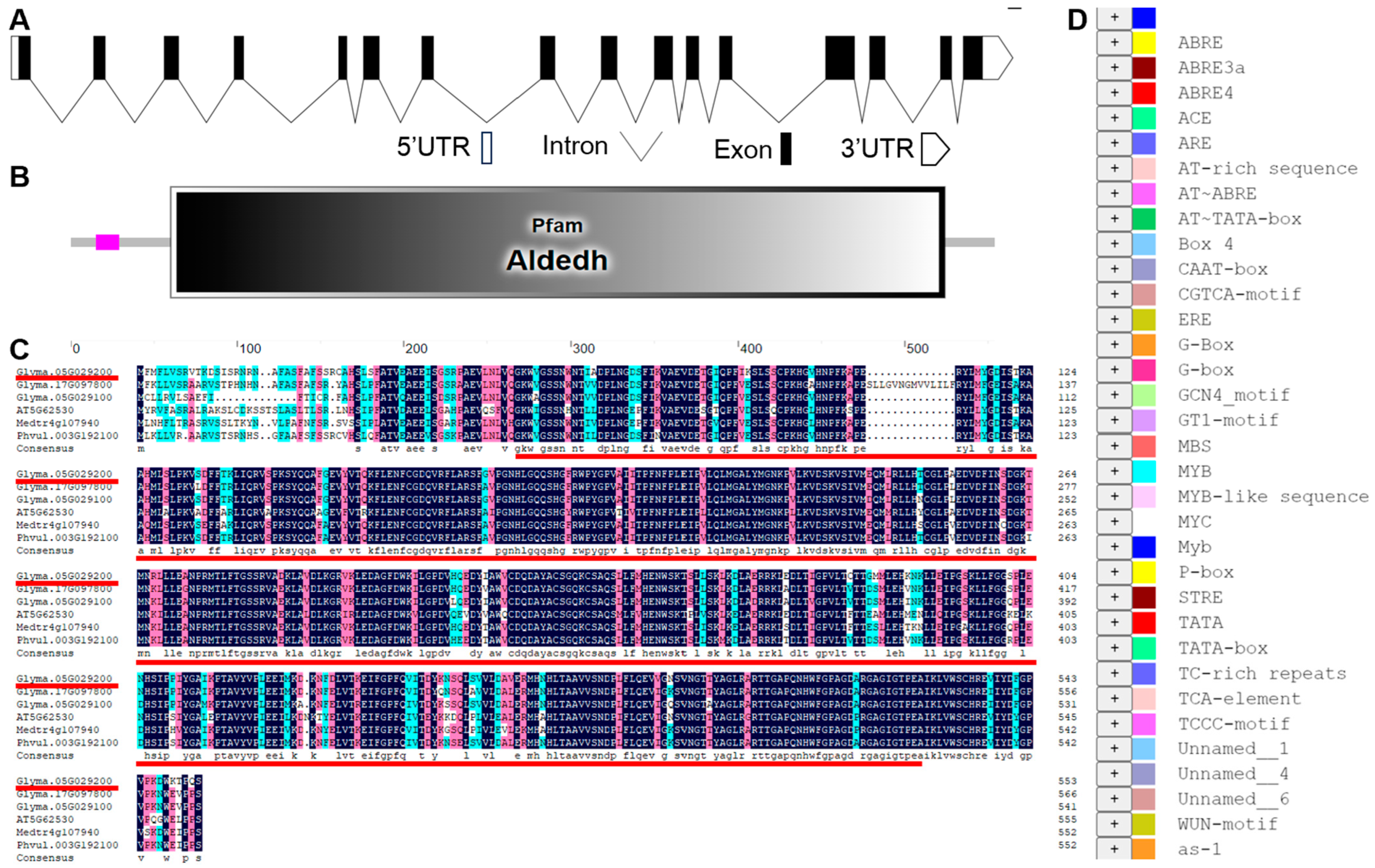Agronomy 14 02411 g002 Agronomy 14 02411 g002