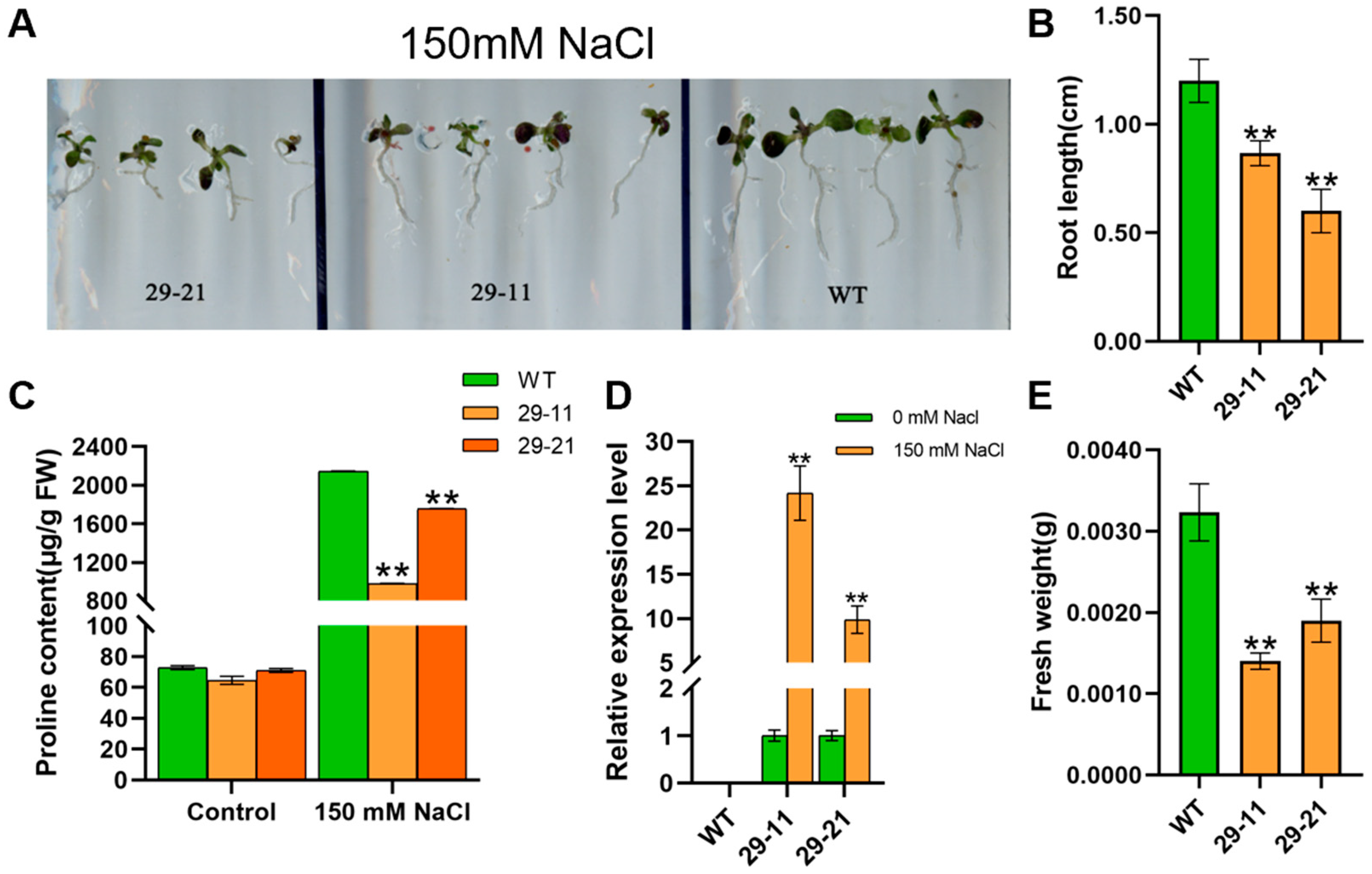 Agronomy 14 02411 g005 Agronomy 14 02411 g005