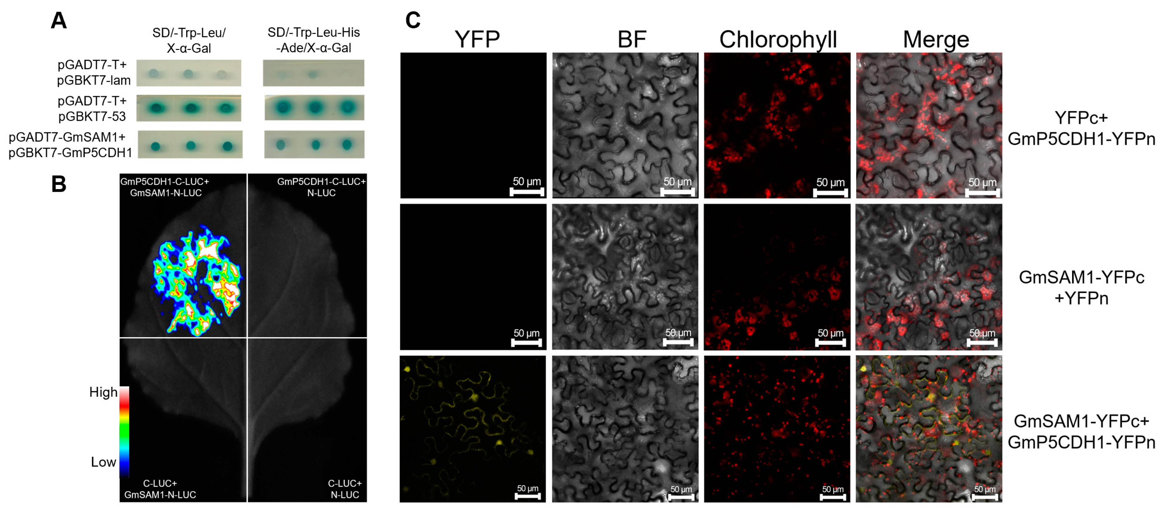 Agronomy 14 02411 g007 Agronomy 14 02411 g007