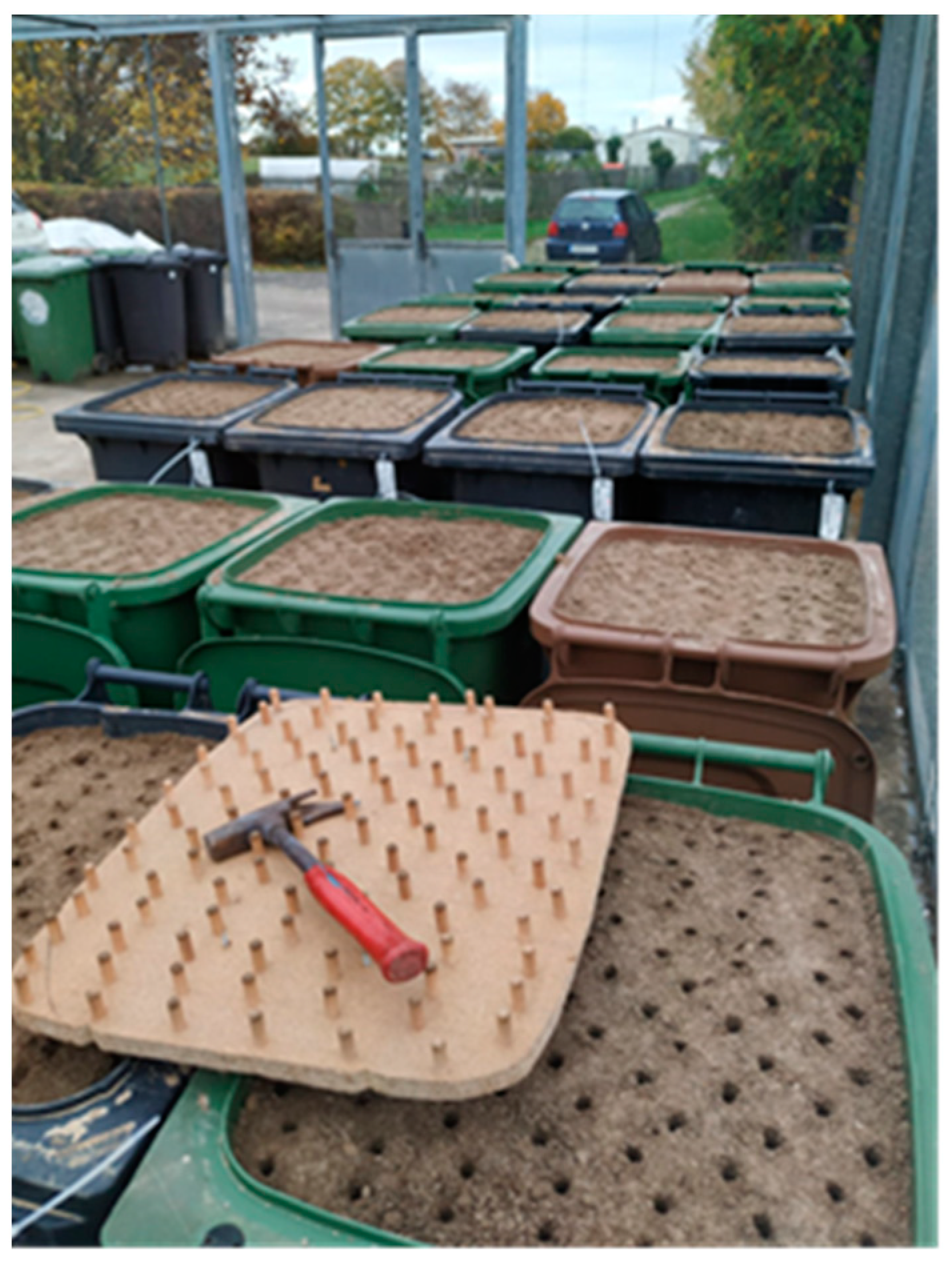 Agronomy 14 02424 g003