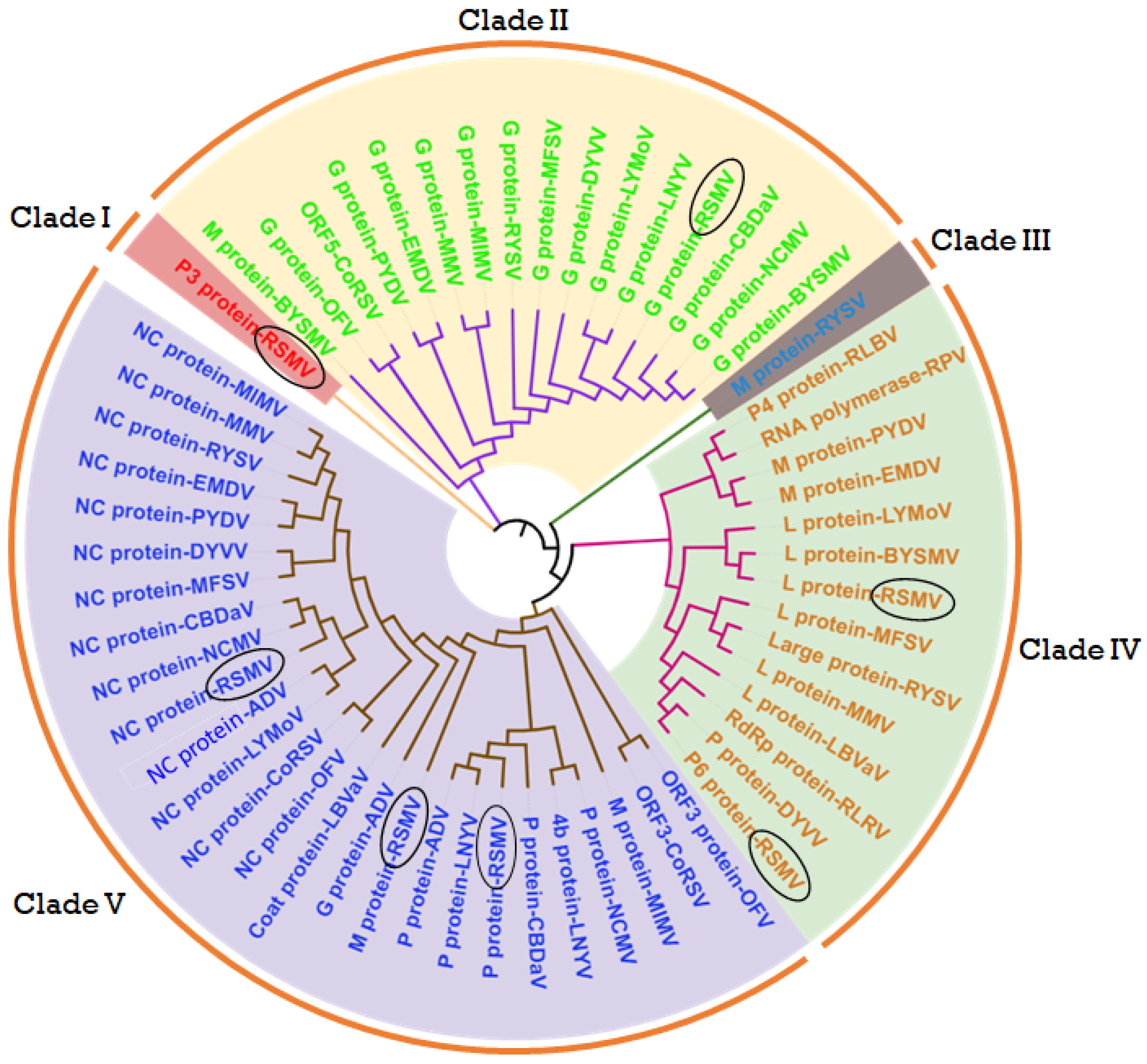 Agronomy 14 02442 g005