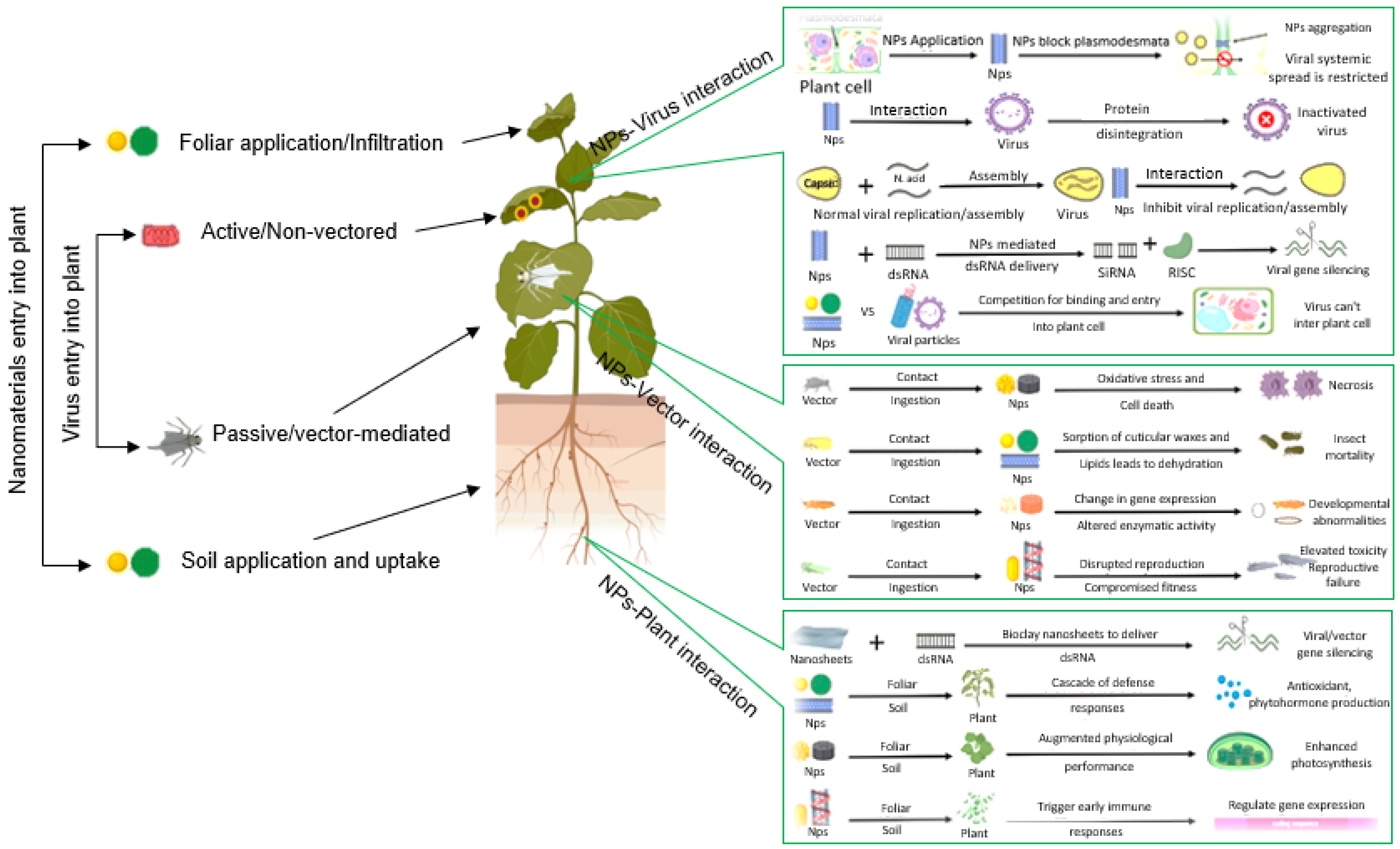 Agronomy 14 02442 g006