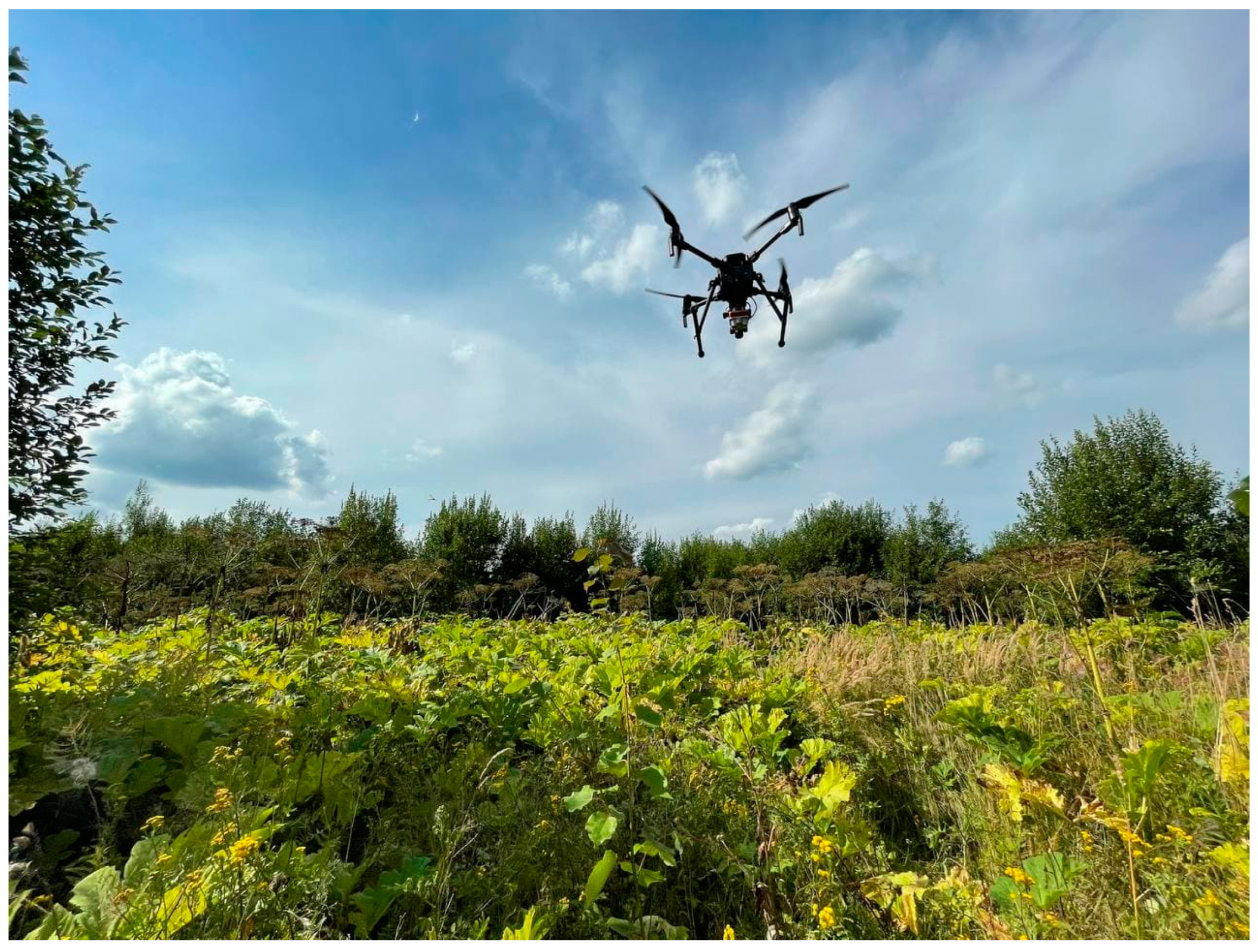 Agronomy 14 02451 g002