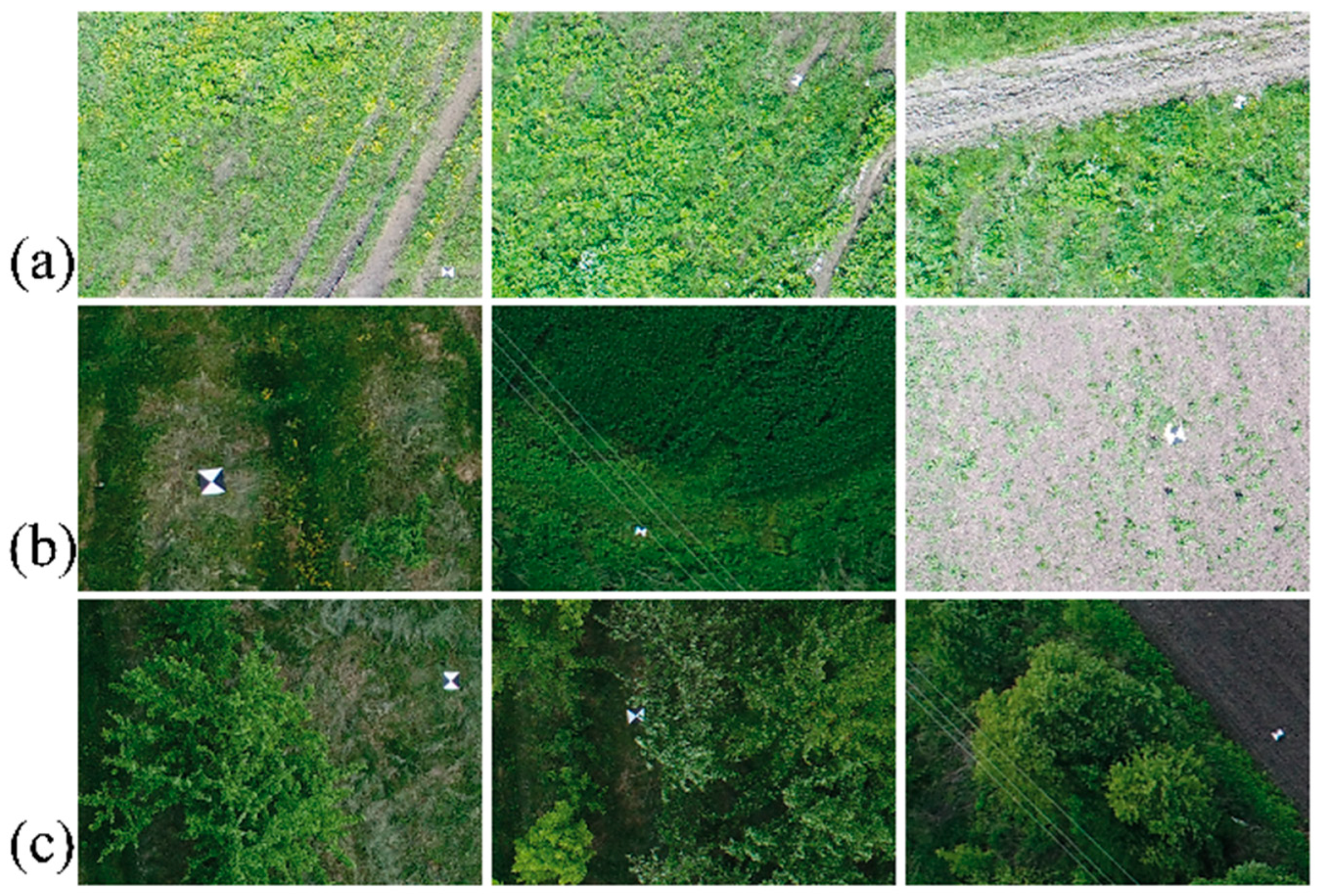 Agronomy 14 02451 g005