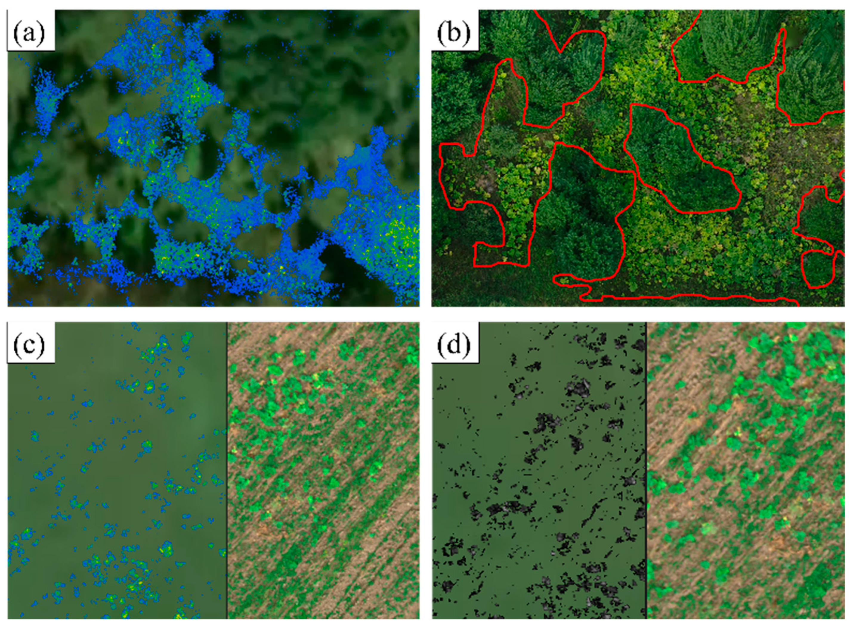 Agronomy 14 02451 g007