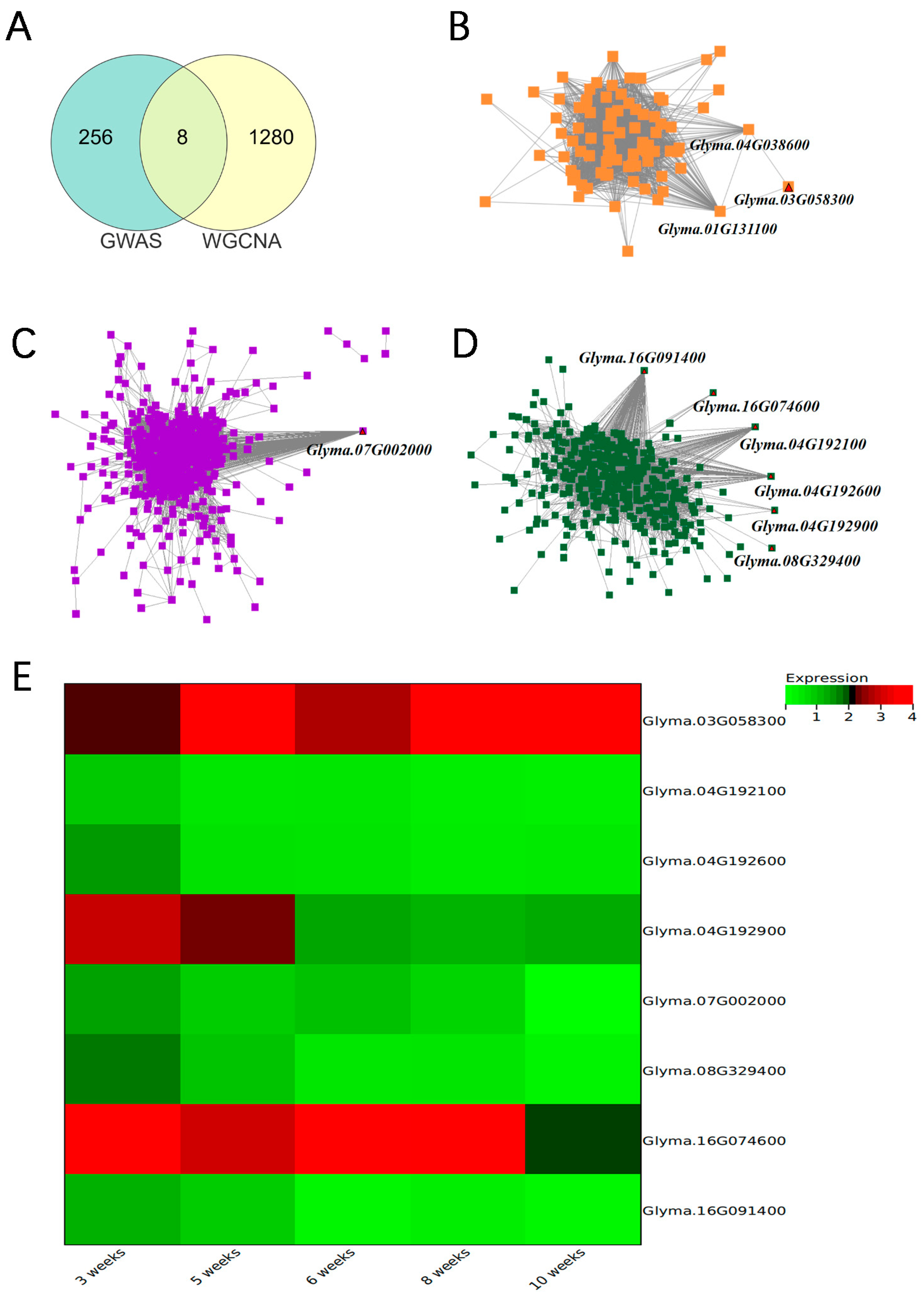 Agronomy 14 02457 g007