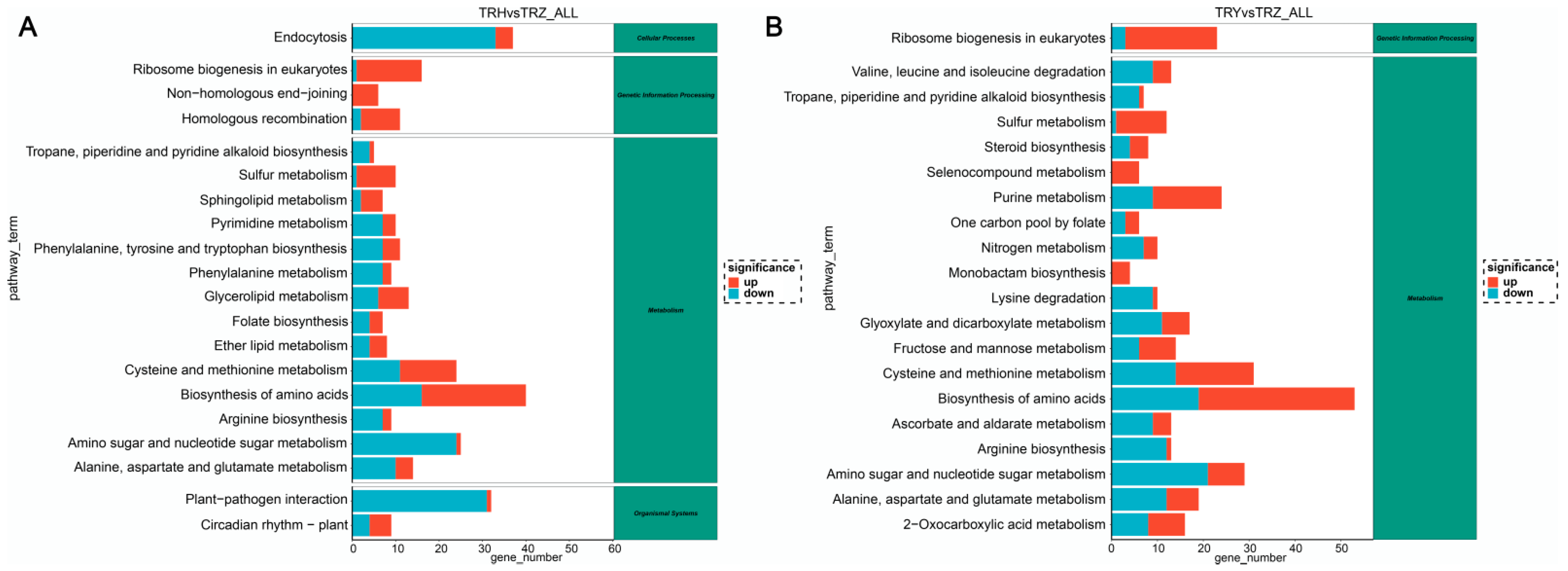 Agronomy 14 02478 g003