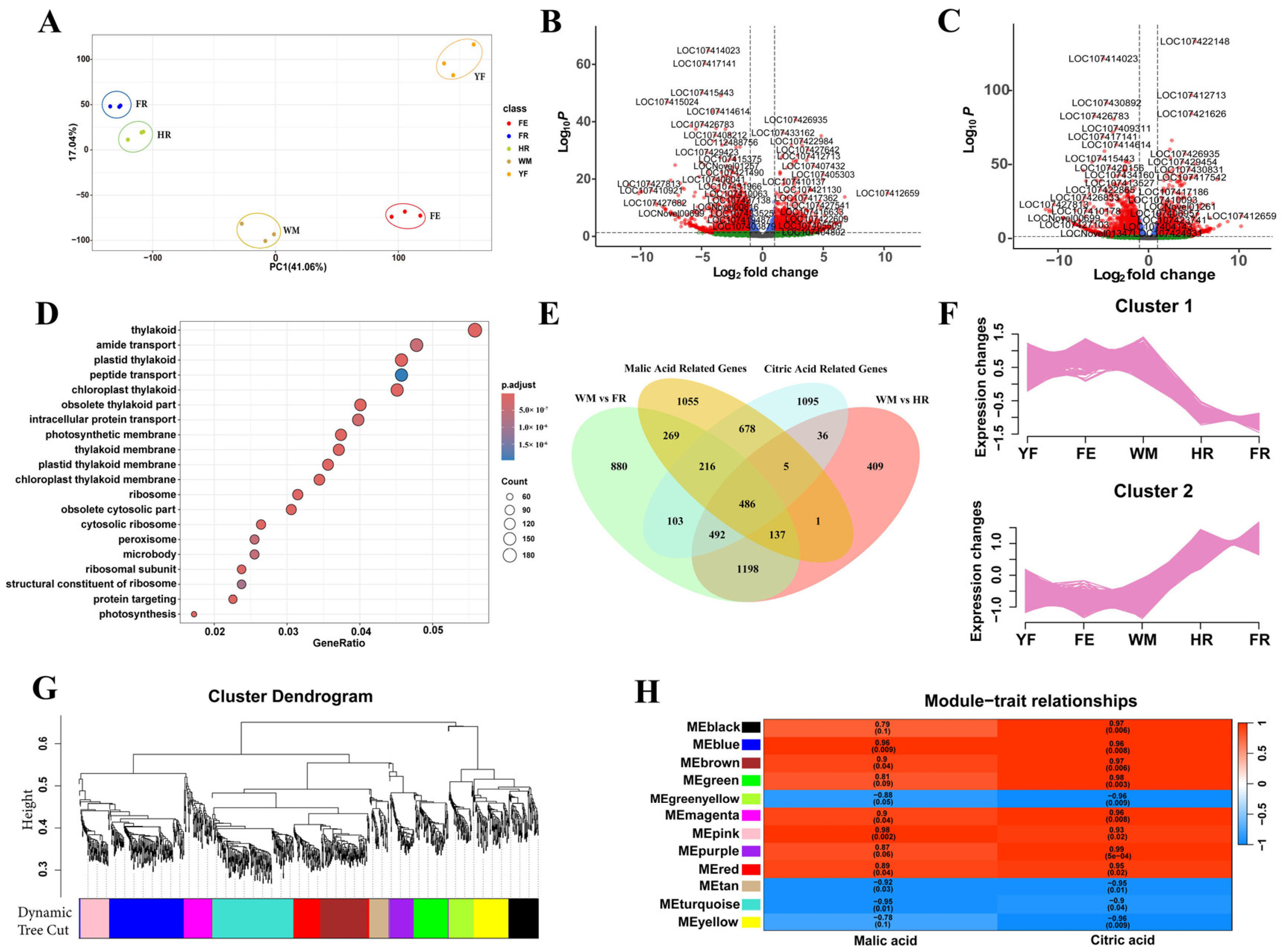 Agronomy 14 02515 g002