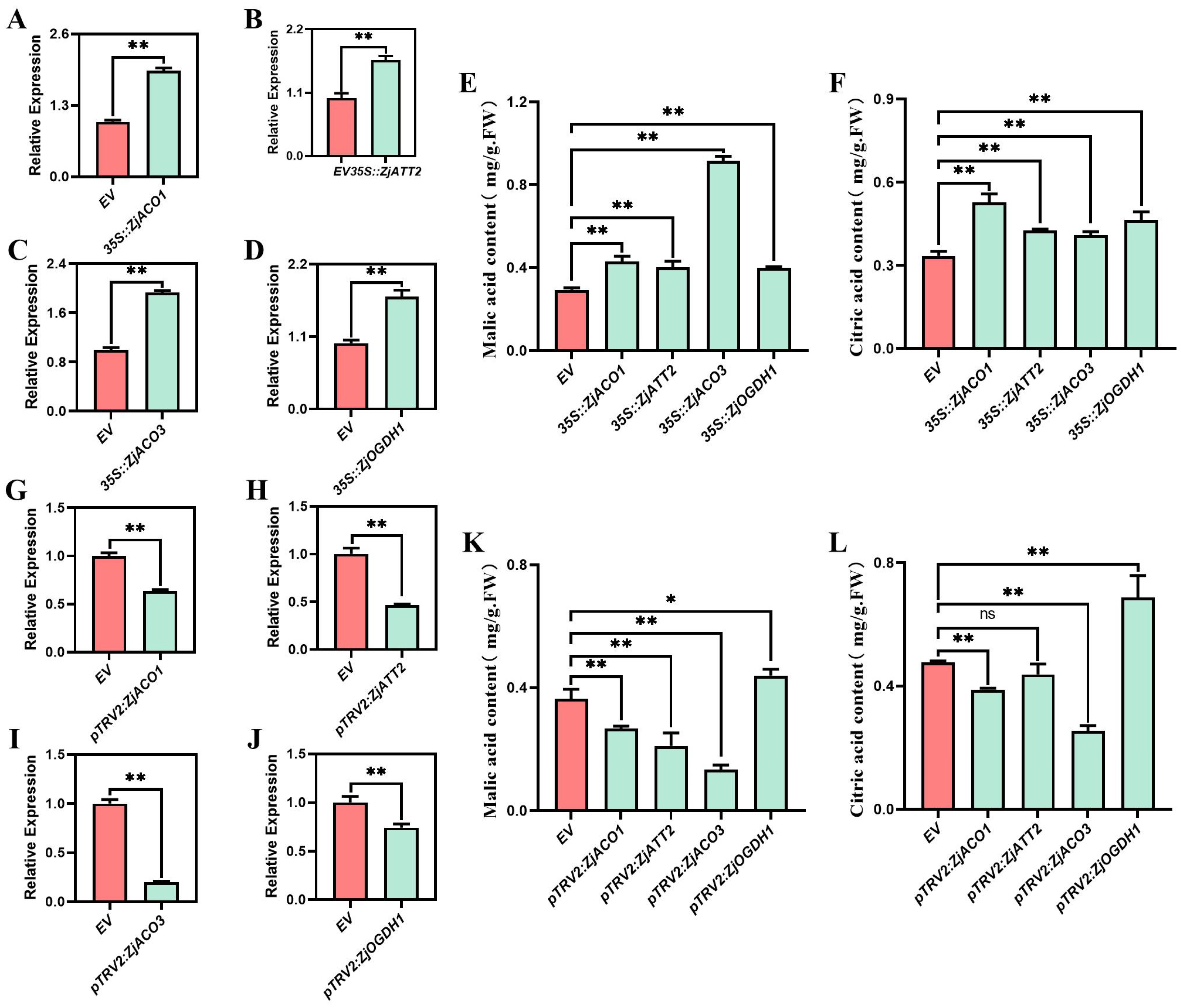 Agronomy 14 02515 g004