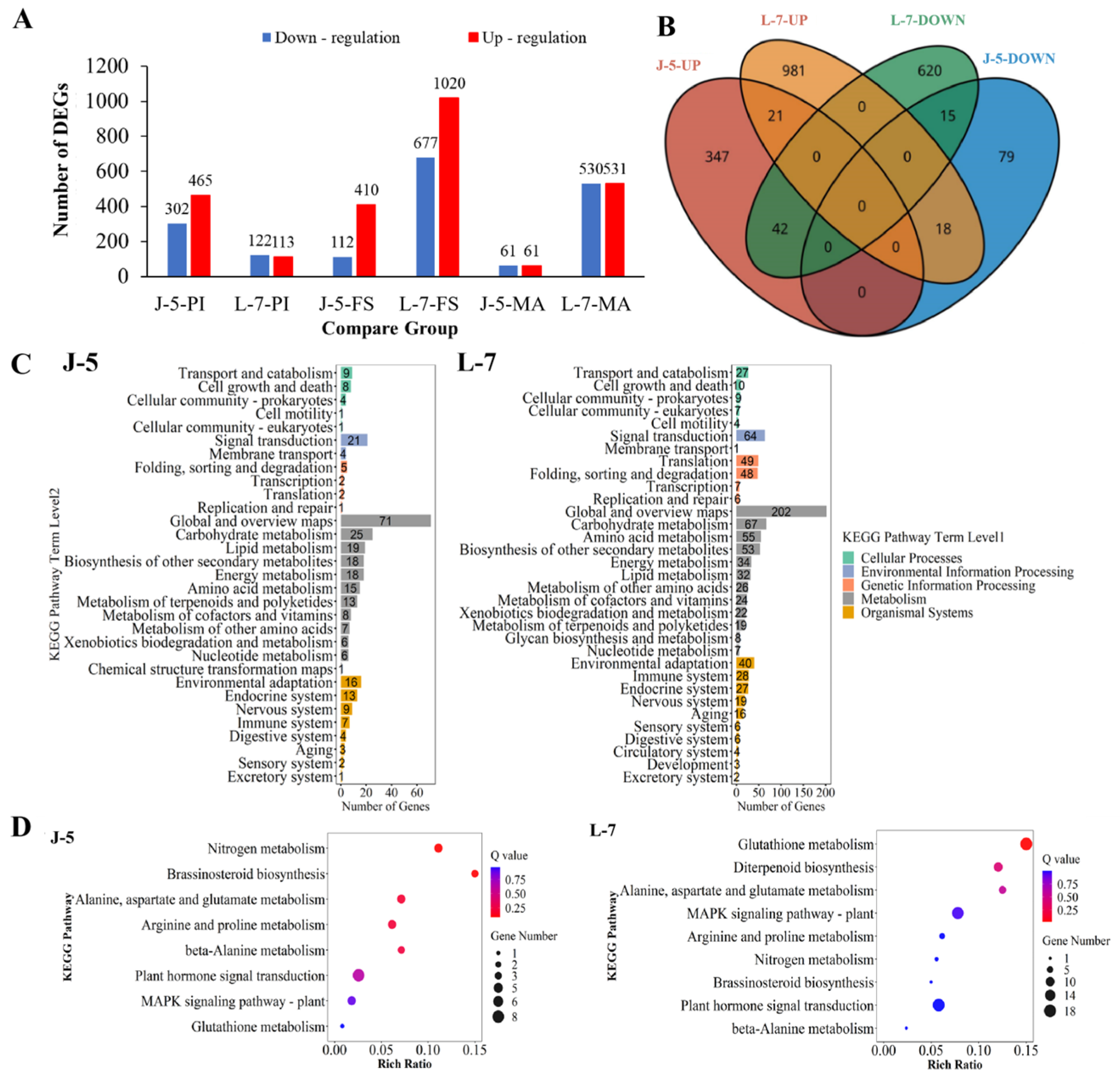 Agronomy 14 02524 g001