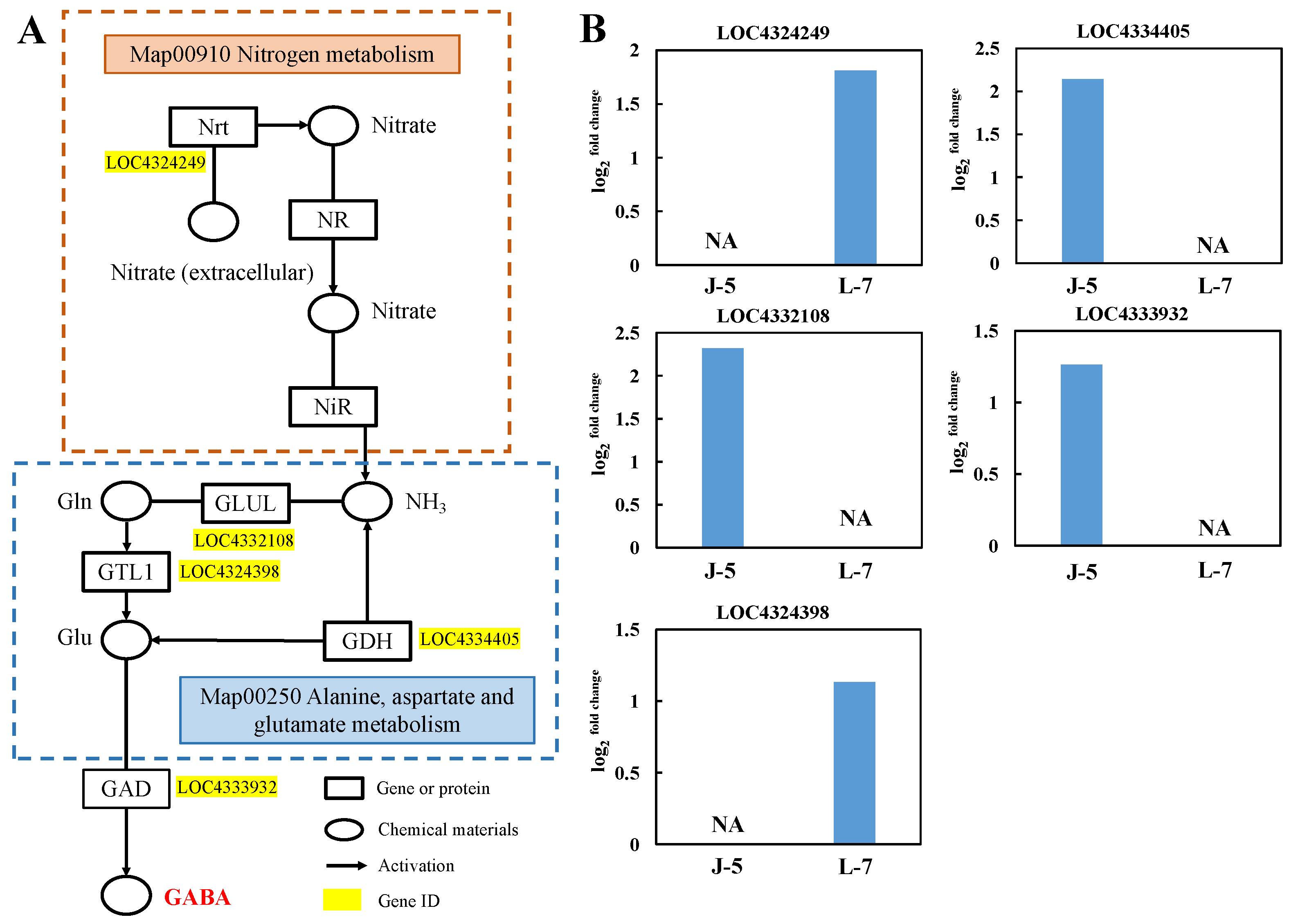 Agronomy 14 02524 g002