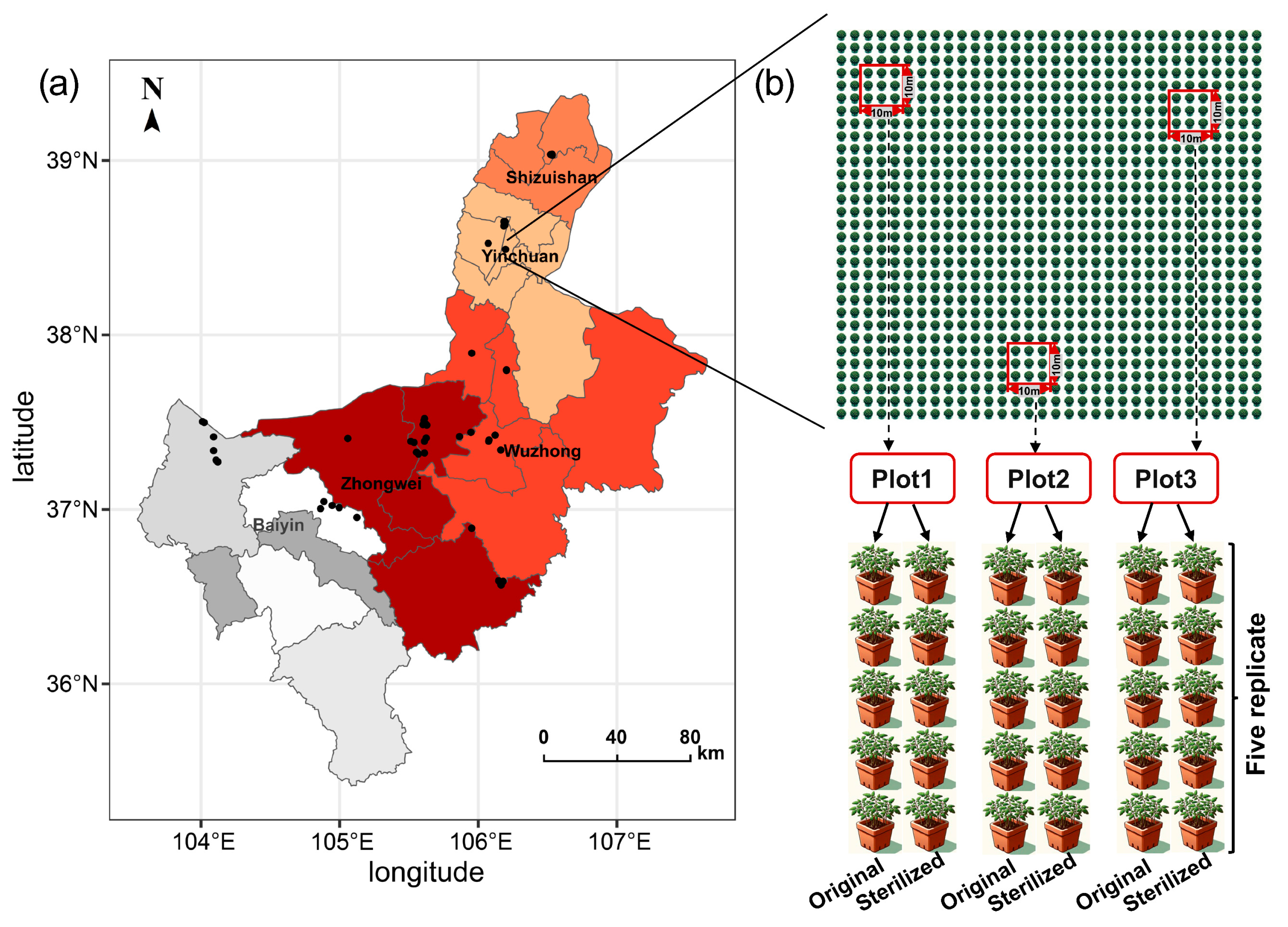 Agronomy 14 02525 g001