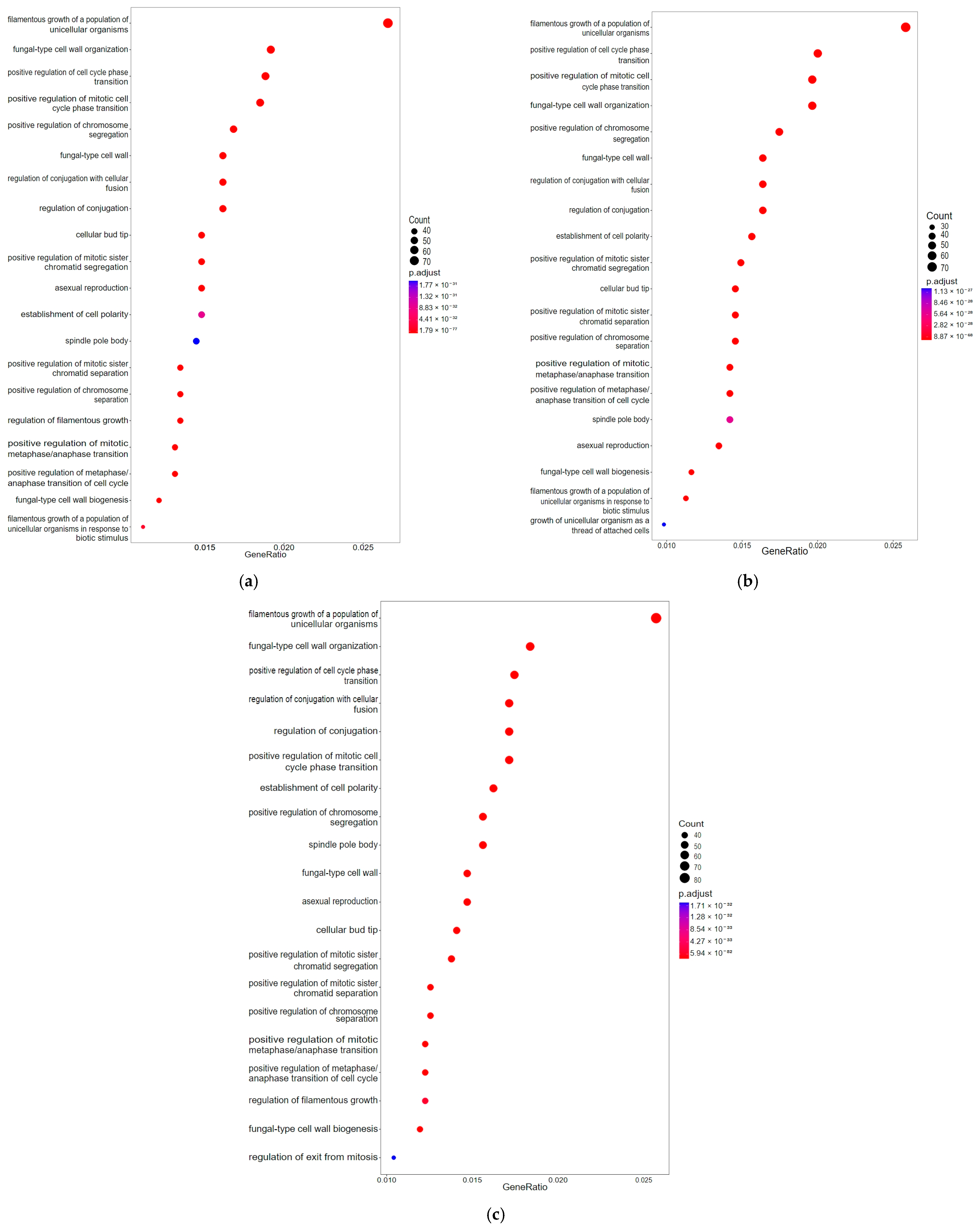 Agronomy 14 02543 g007