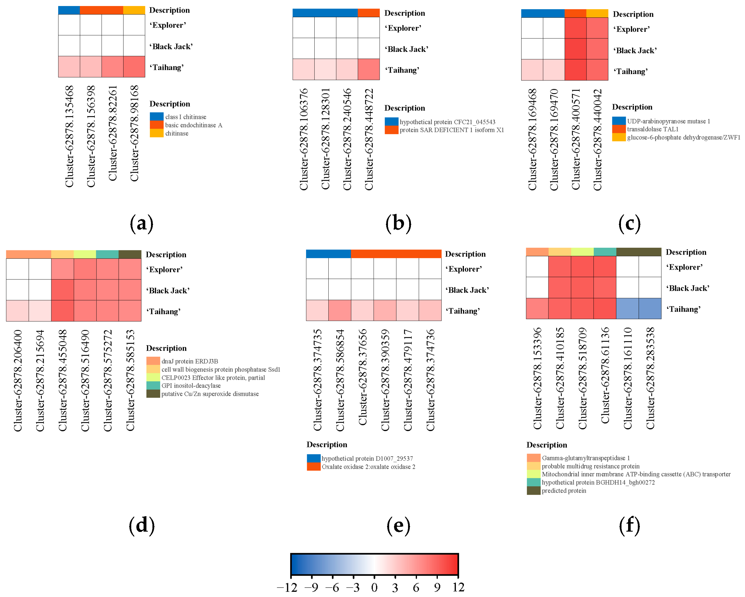 Agronomy 14 02543 g008