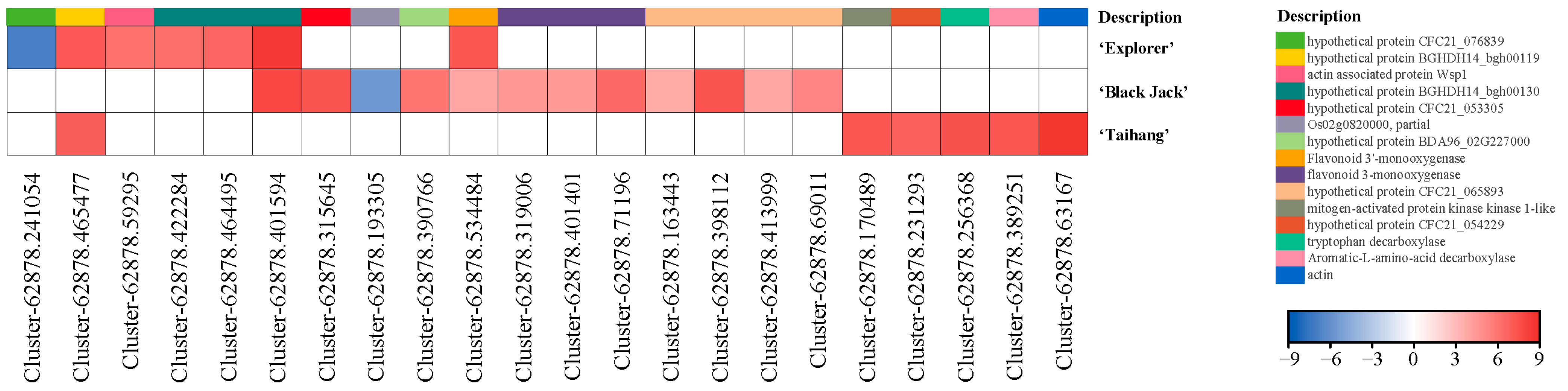 Agronomy 14 02543 g009