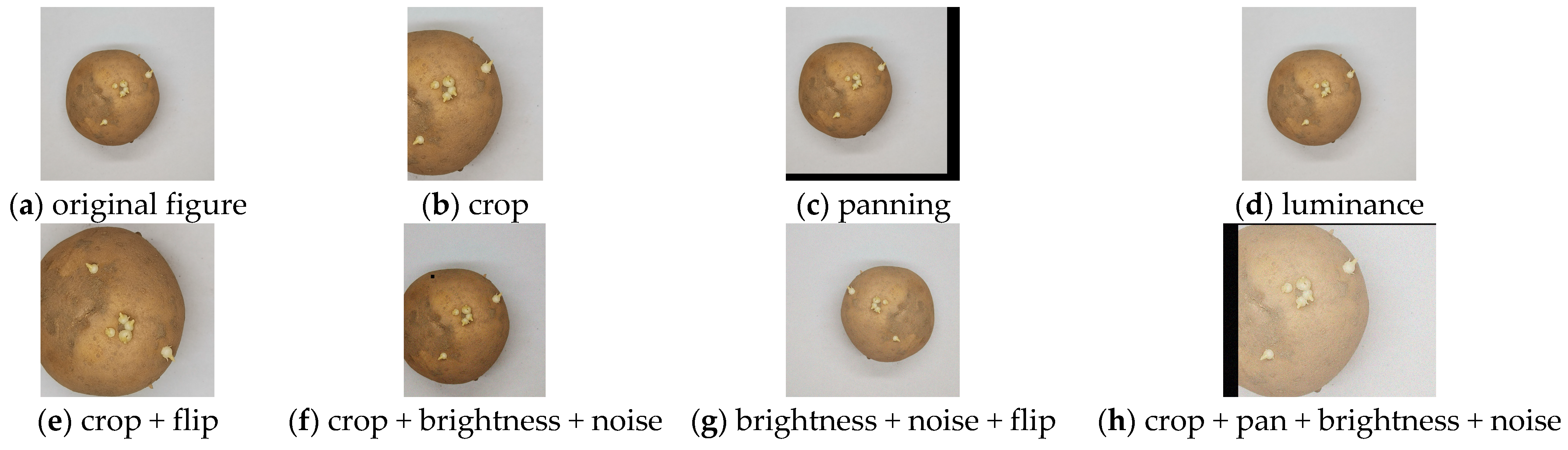 Agronomy 14 02558 g001