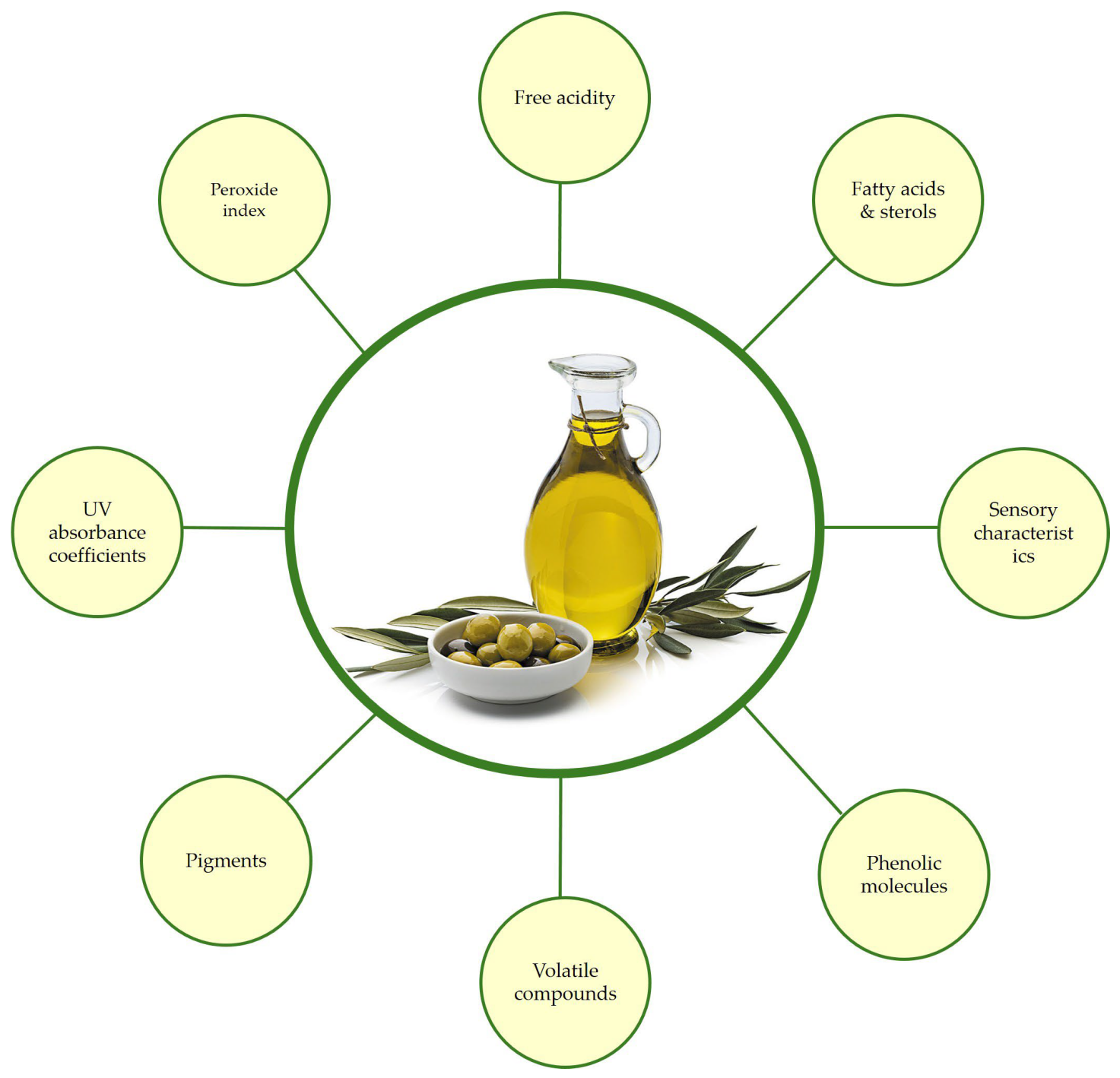 Agronomy 14 02586 g001