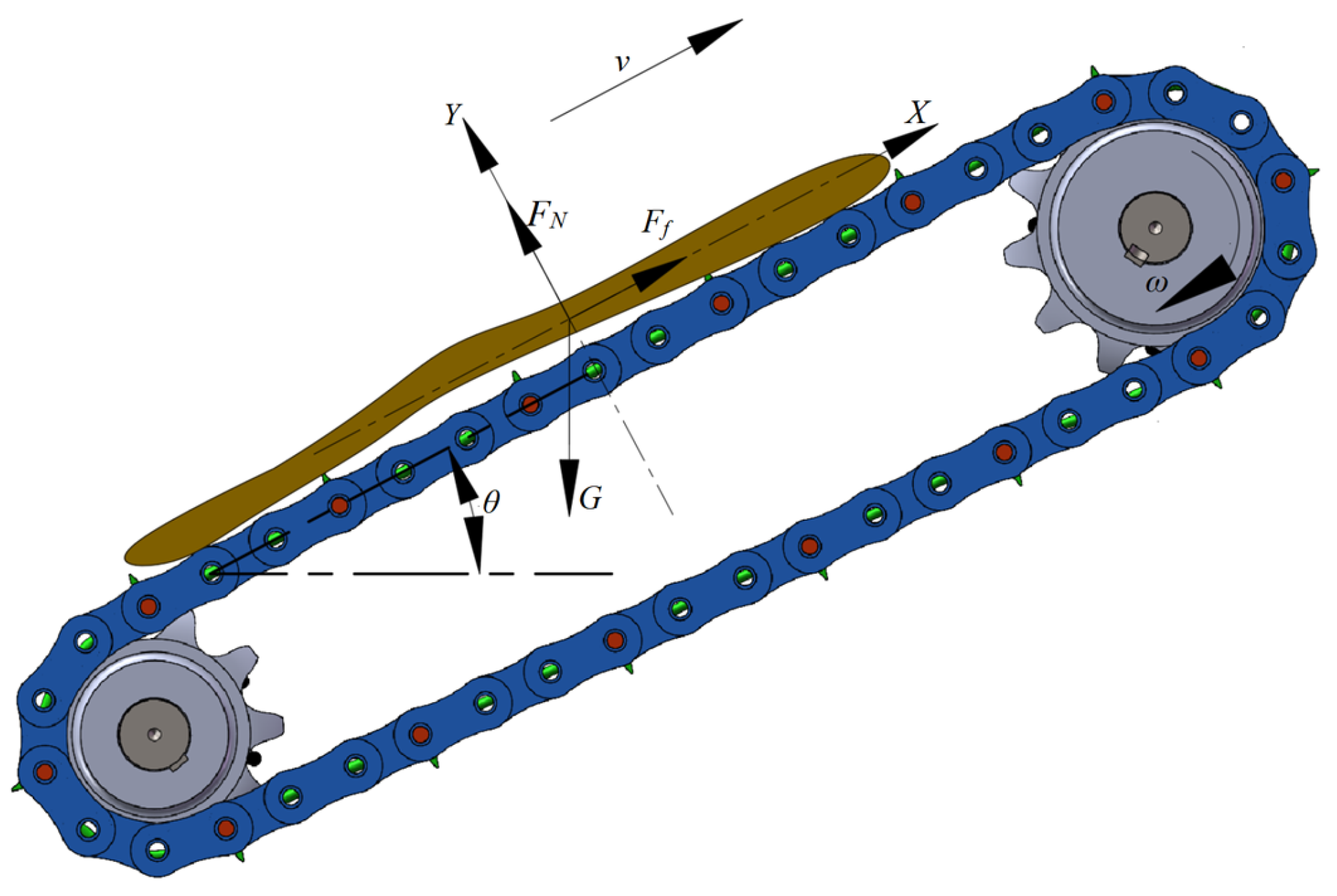 Agronomy 14 02651 g009