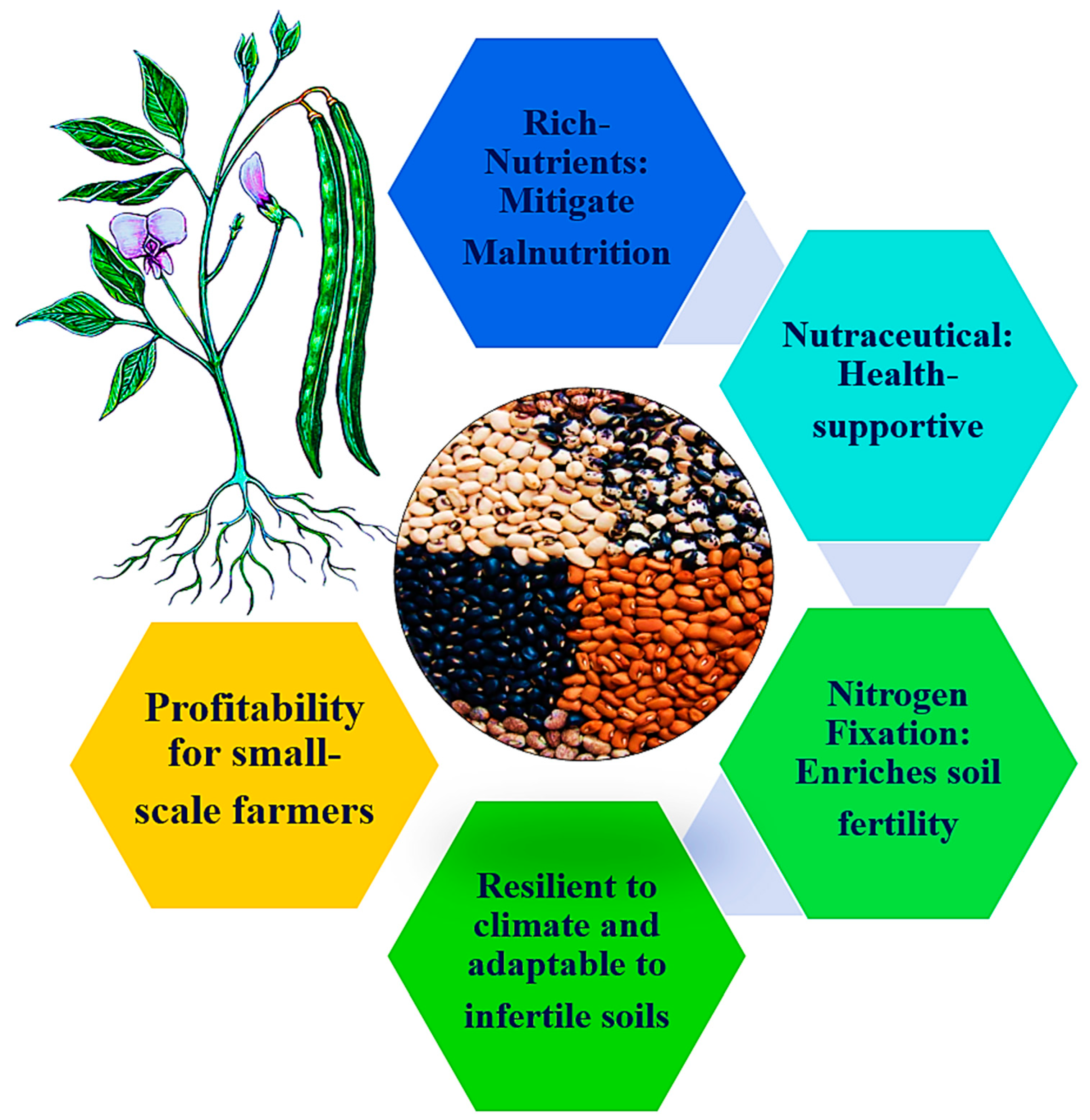 Agronomy 14 02679 g002 Agronomy 14 02679 g002