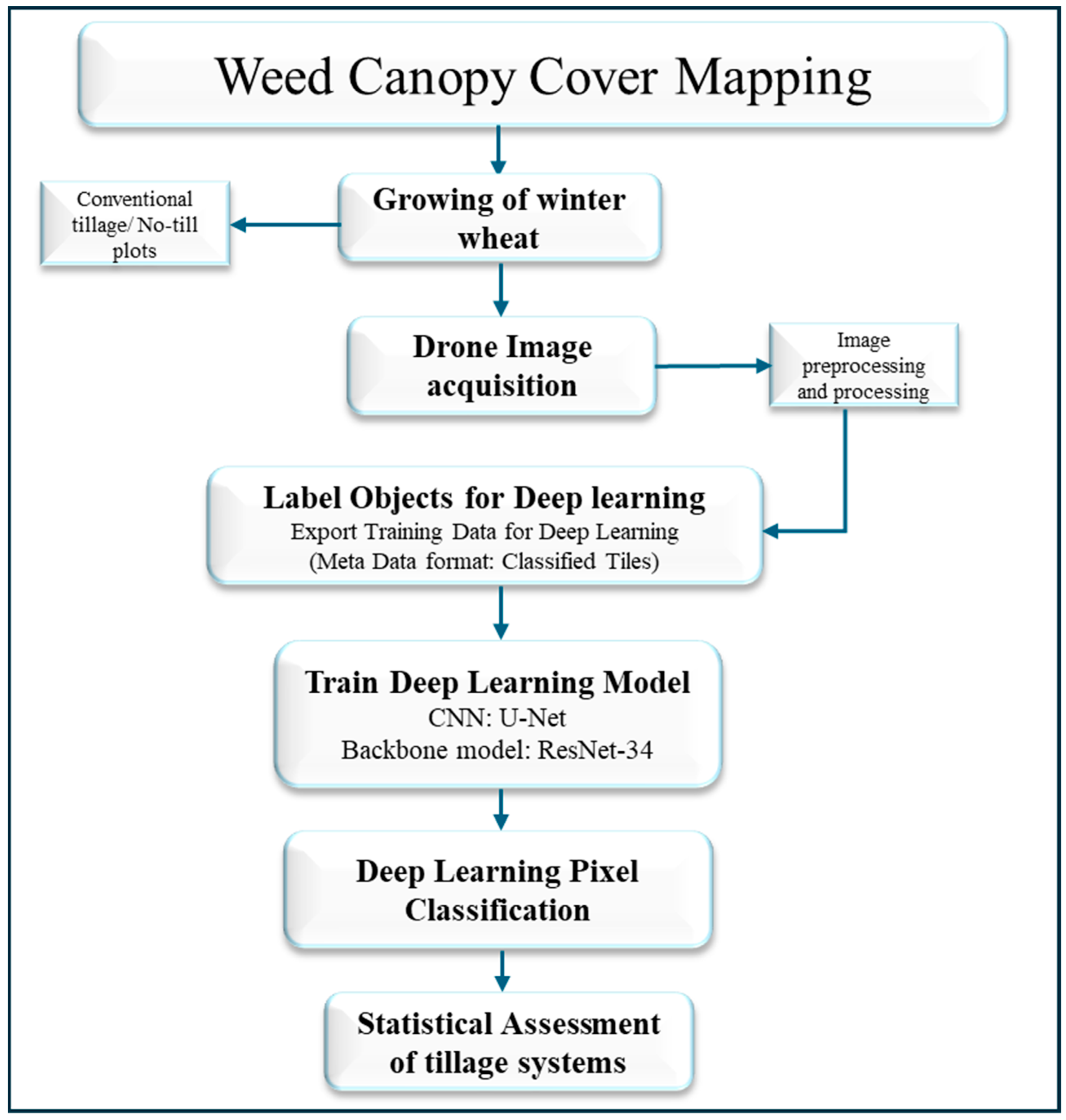 Agronomy 14 02706 g002 Agronomy 14 02706 g002