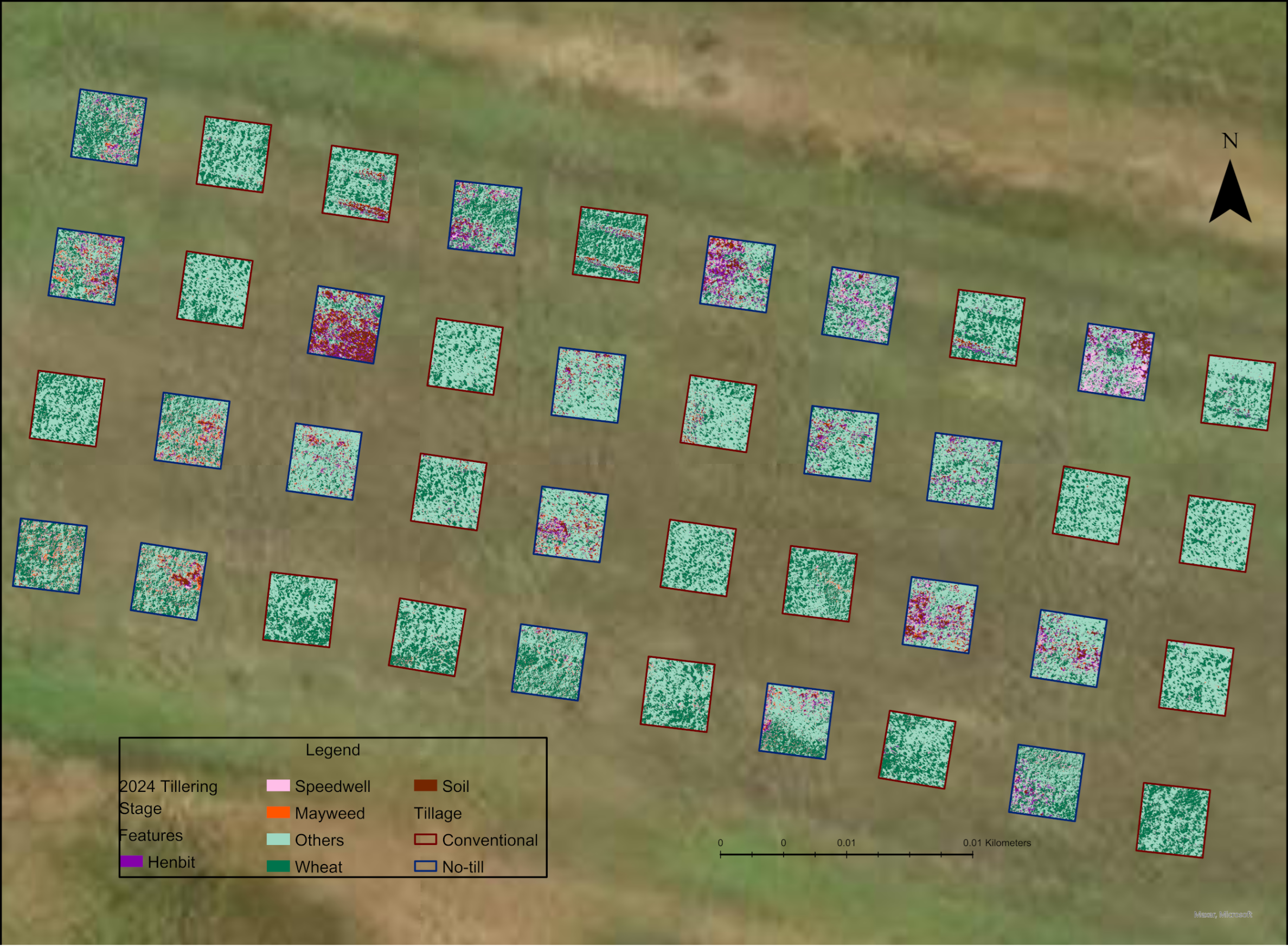 Agronomy 14 02706 g009 Agronomy 14 02706 g009