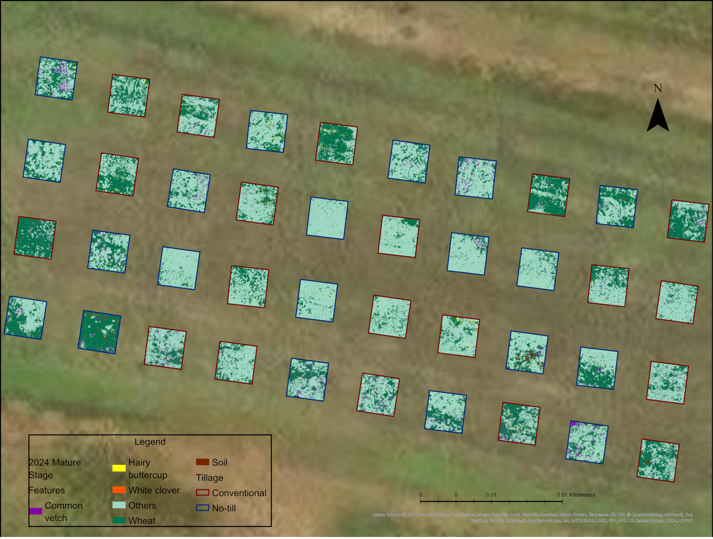 Agronomy 14 02706 g012 Agronomy 14 02706 g012