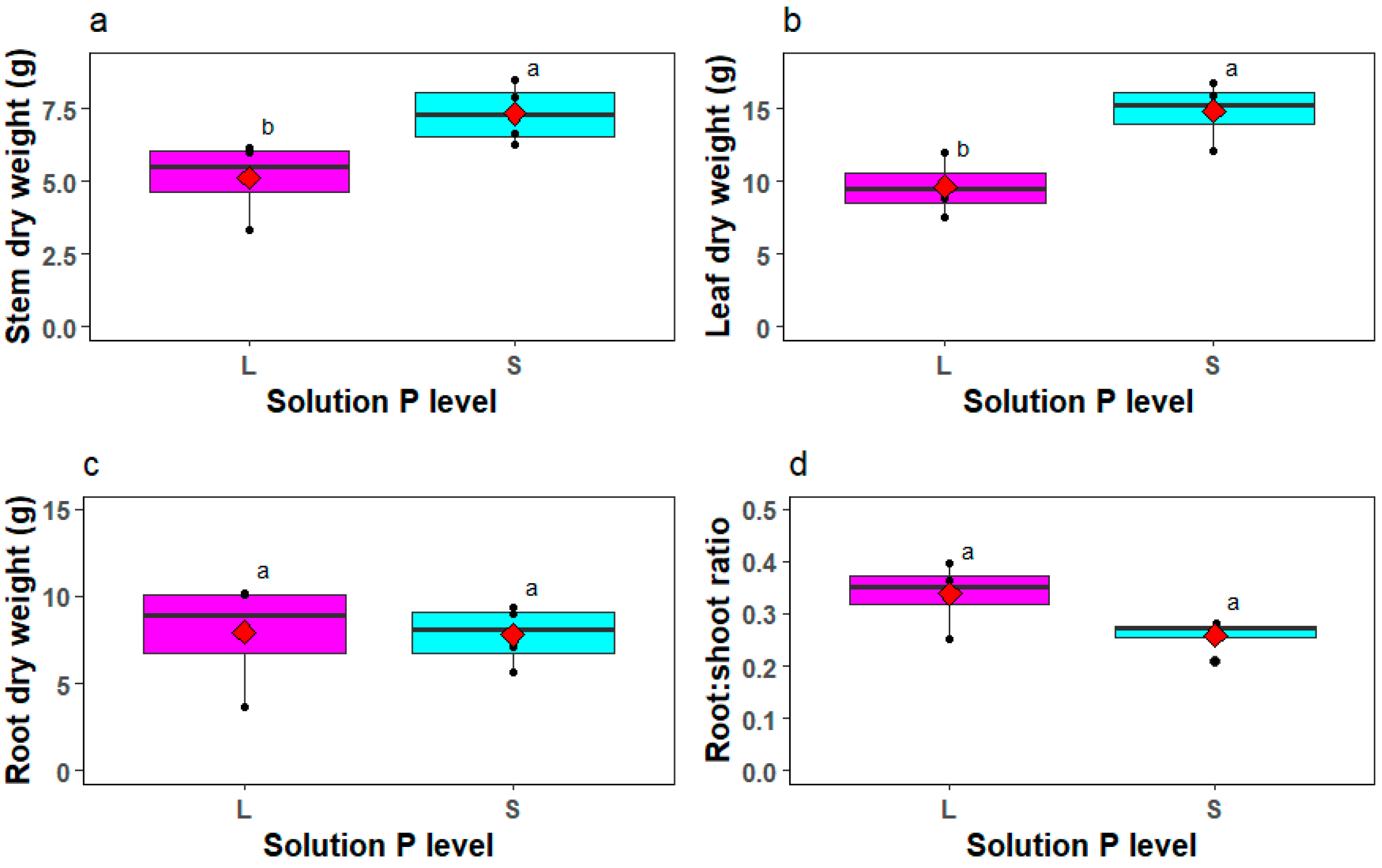 Agronomy 14 02731 g001